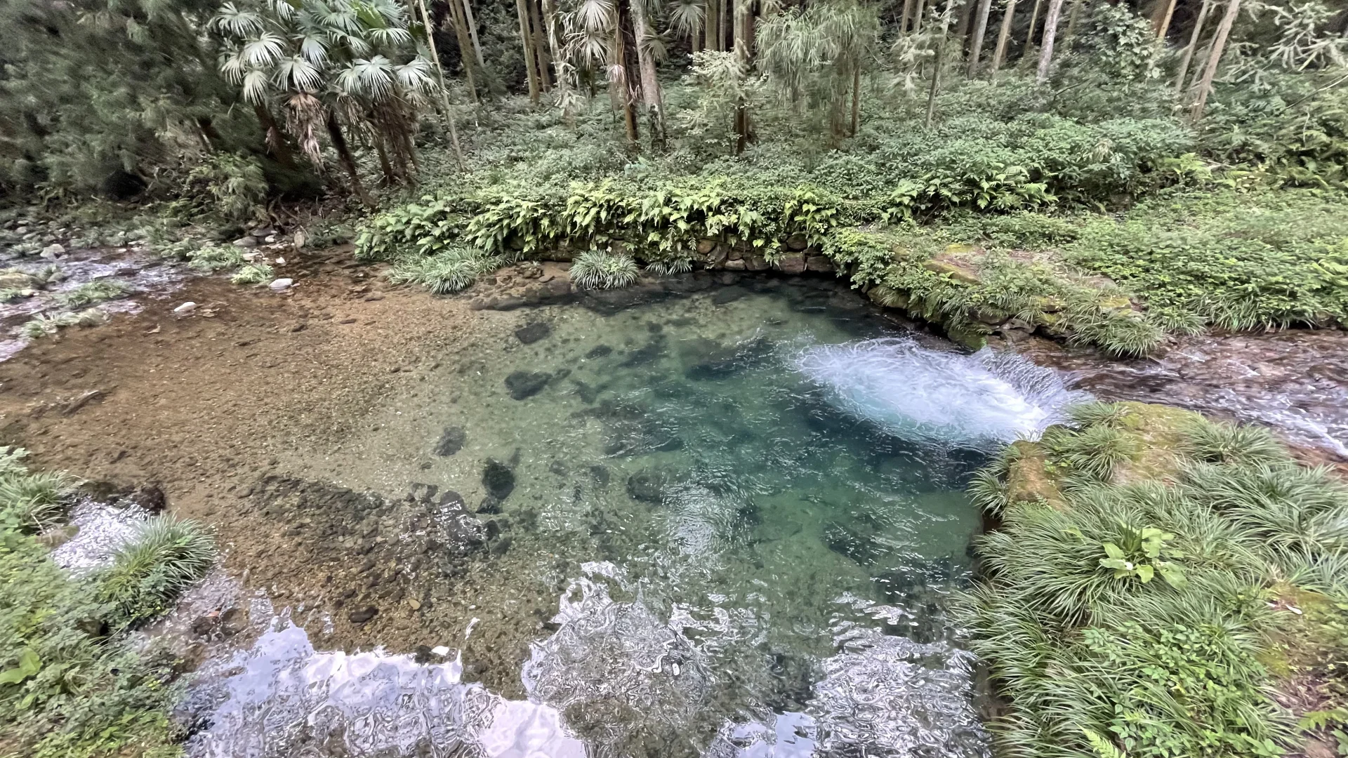 张家界国家森林公园的晴阴雨雾+攻略