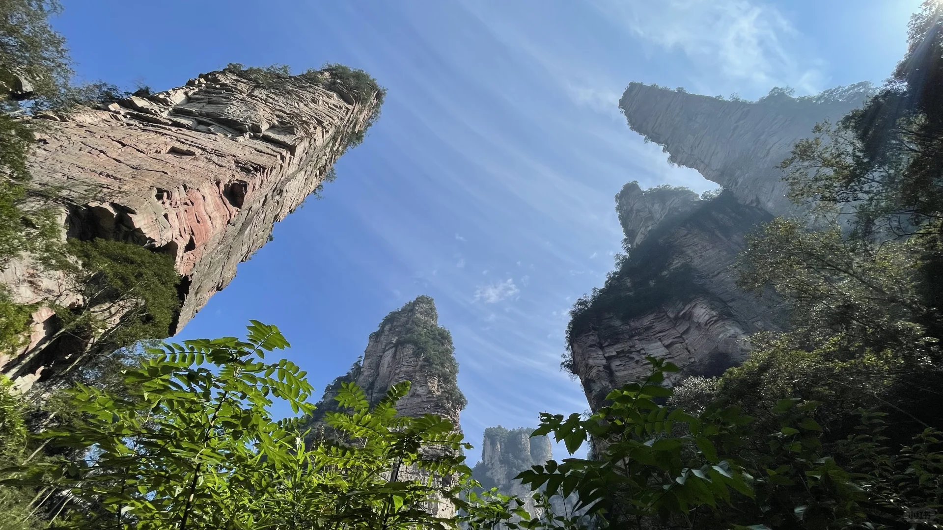 张家界国家森林公园的晴阴雨雾+攻略