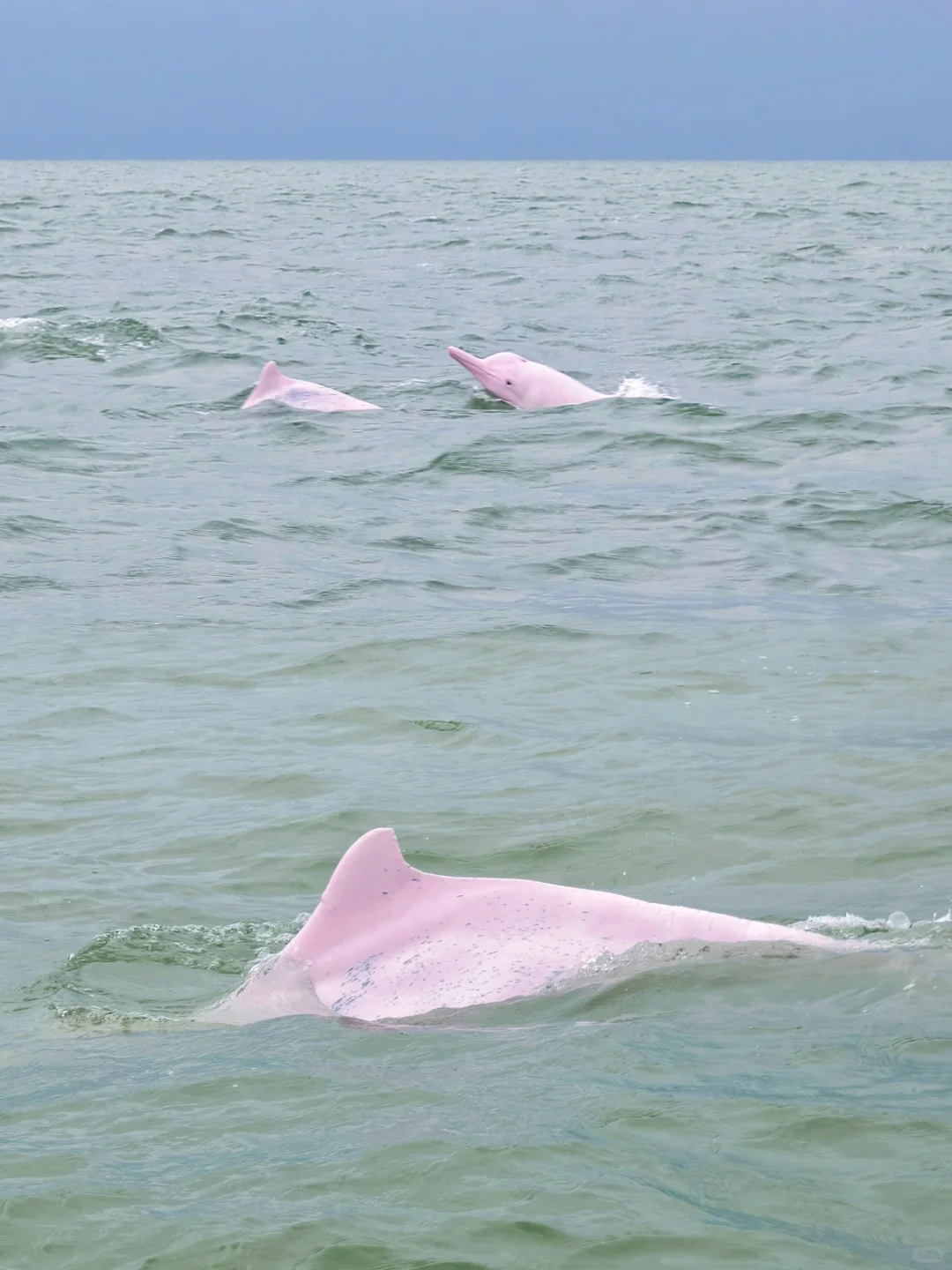 寒假去广西崇左，一点不累，比迪士尼还好玩