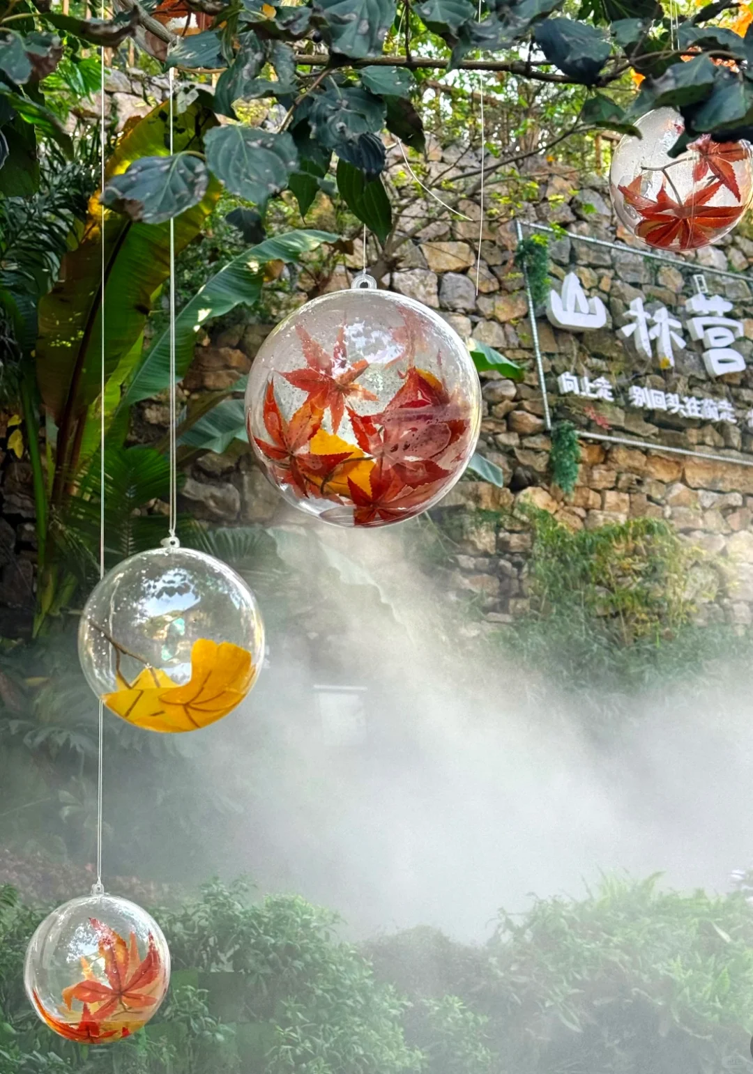 淄博 | 山东“小婺源”的秋天🍂🍁