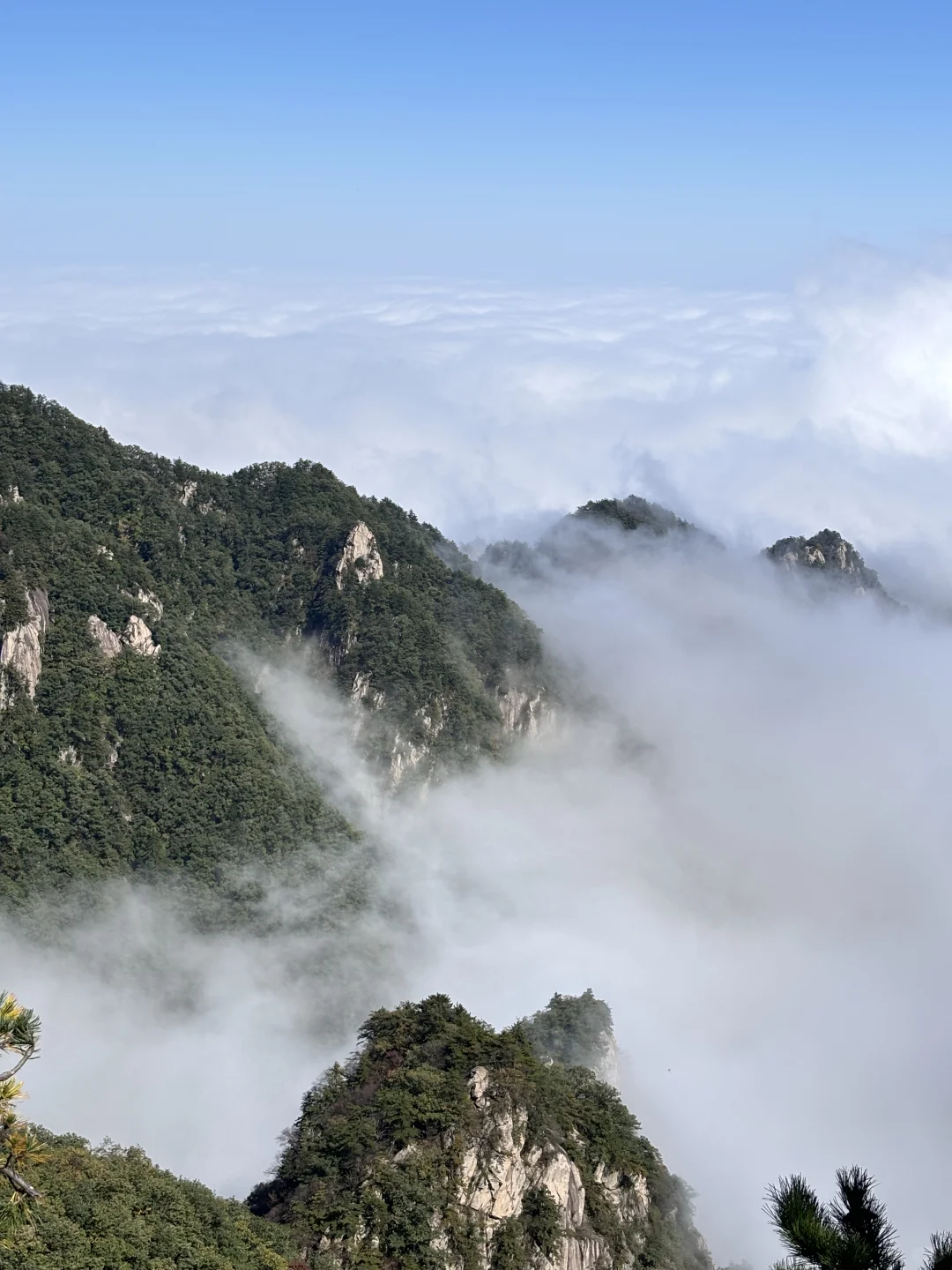 河南不宣传这个山真的糊涂！没有热度但绝美