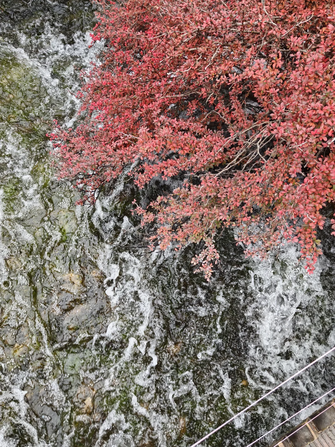 广州-九寨沟三天两夜攻略（一人勇闯版）