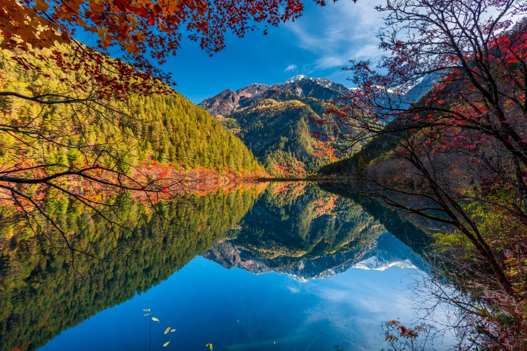 如果一生只去一次九寨沟 ,那一定是秋天!!