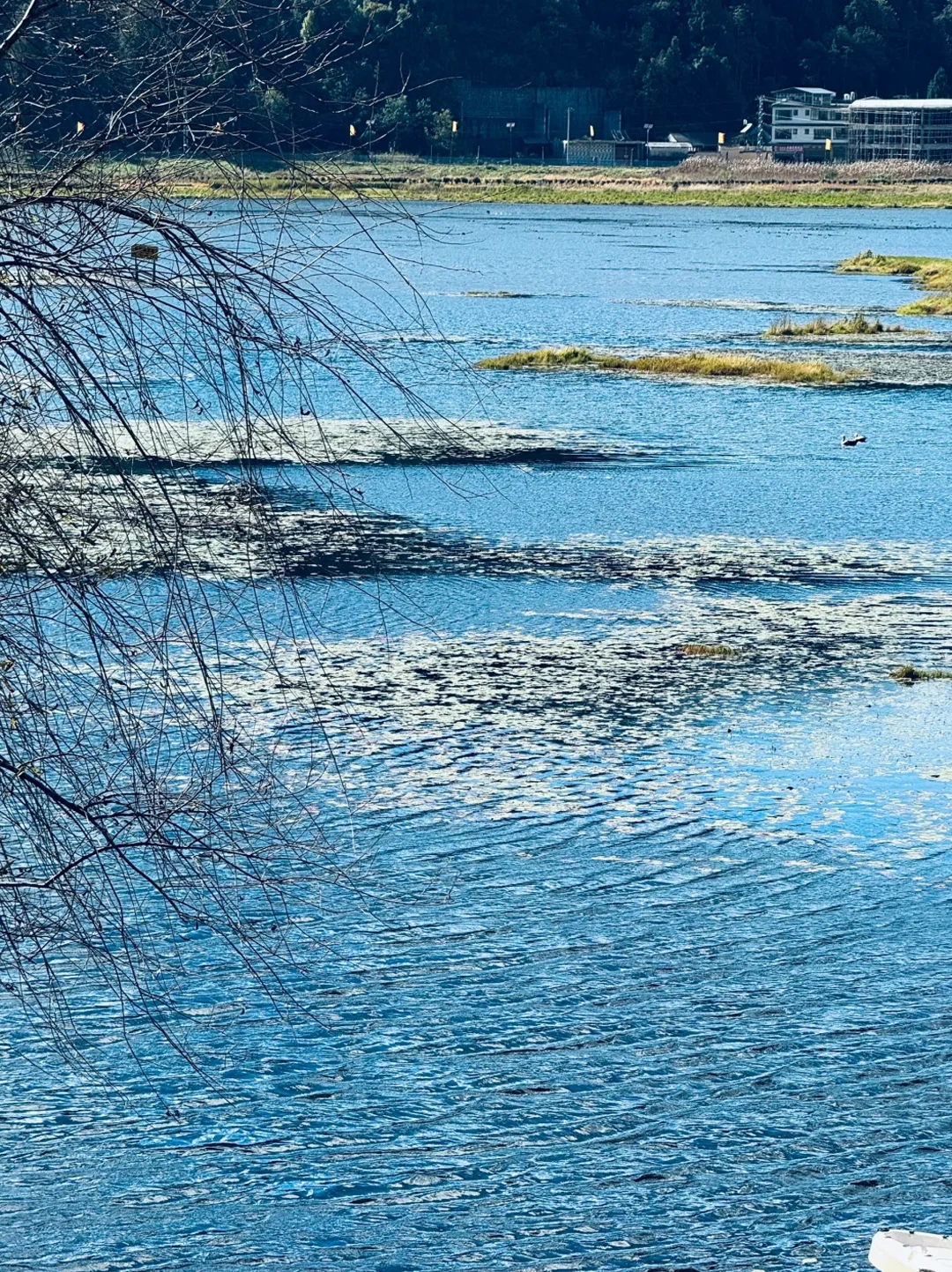 云南｜腾冲+瑞丽+芒市8天旅游攻略✅