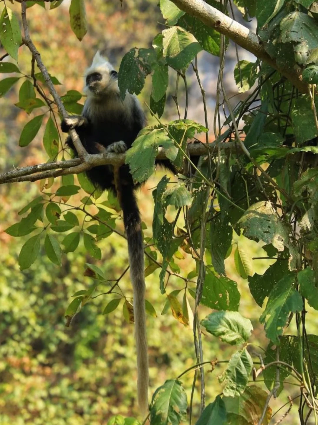 寒假去广西崇左，一点不累，比迪士尼还好玩