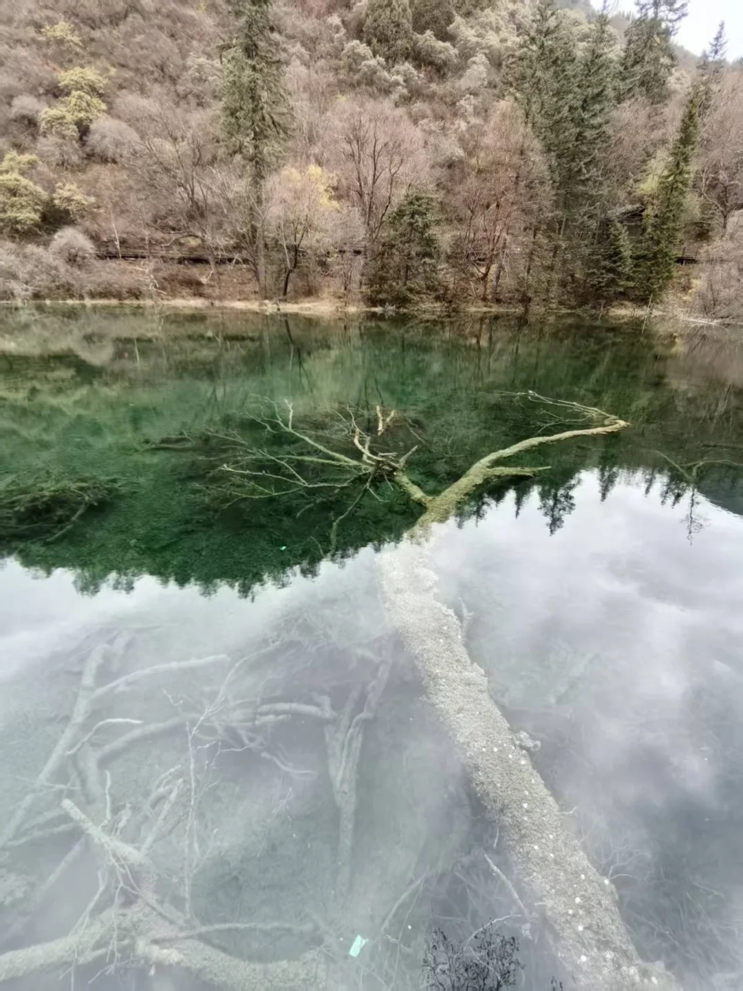 九寨沟县神仙池景区（四）