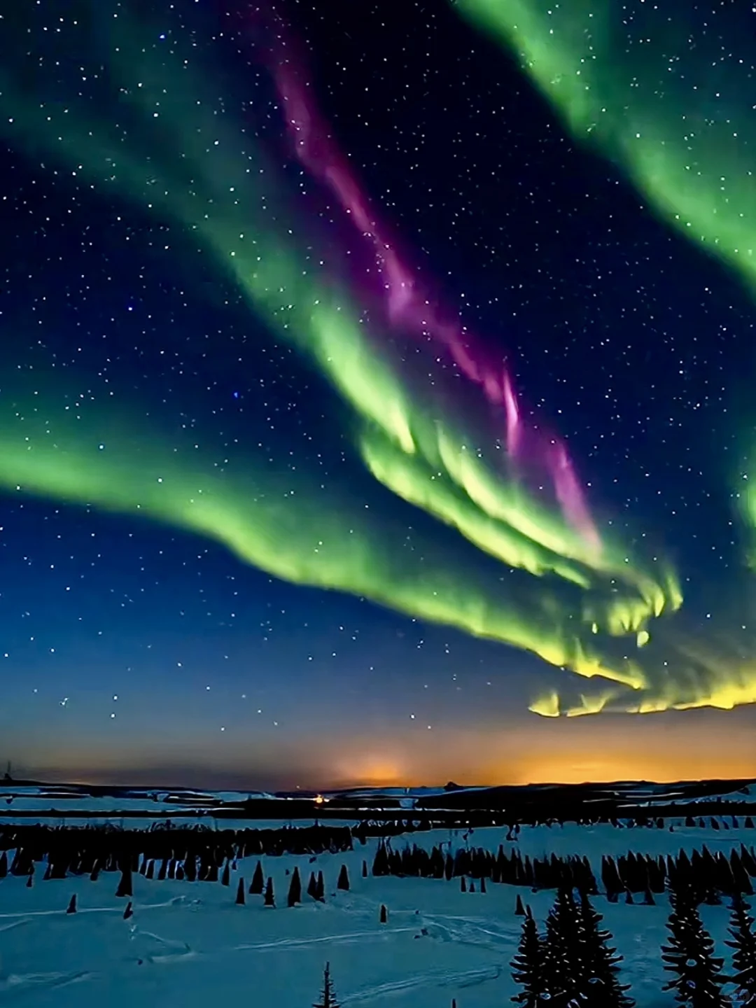 人生建议，一定要在11-2月去漠河看一次极光