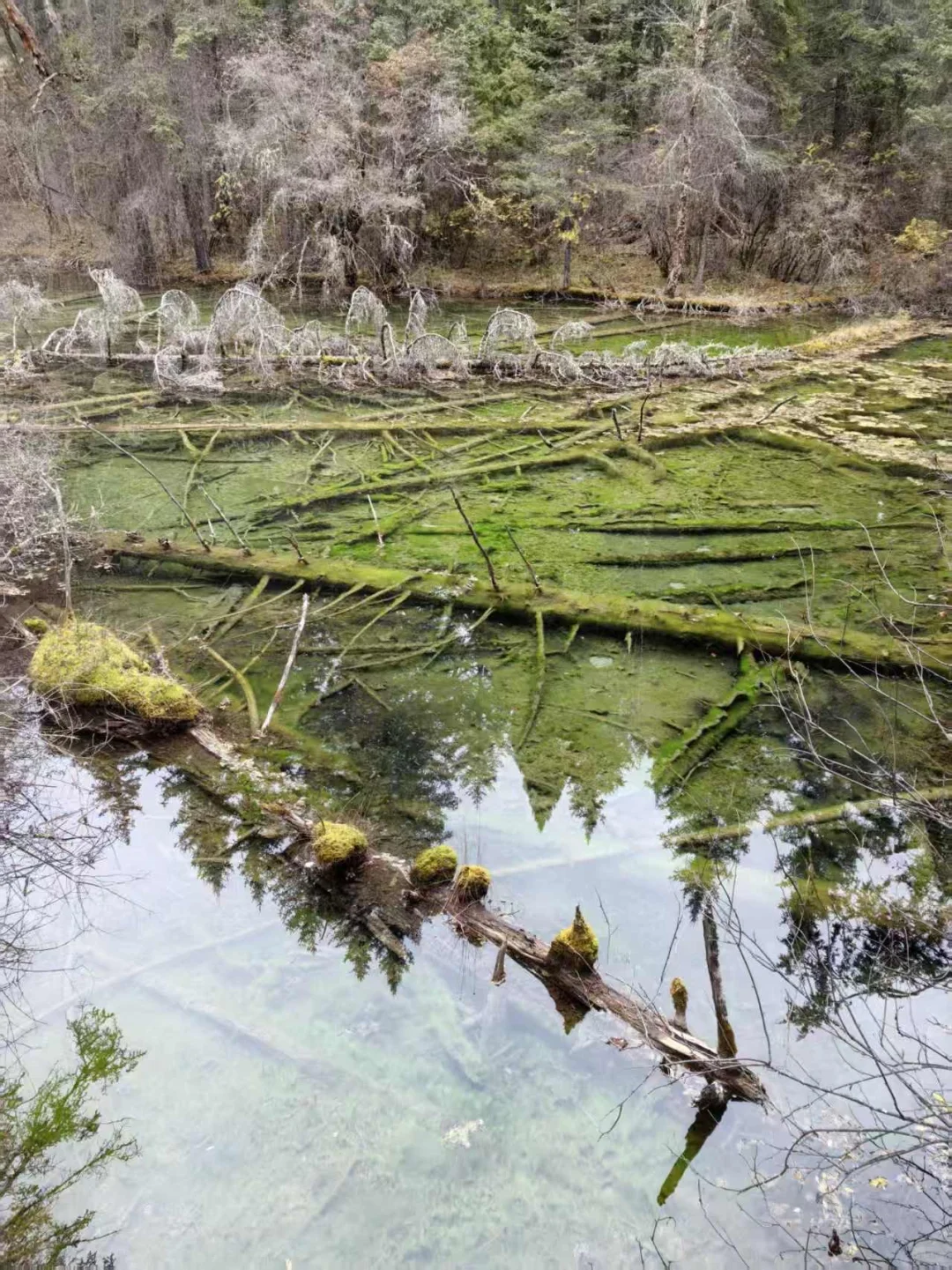 九寨沟县神仙池景区（四）