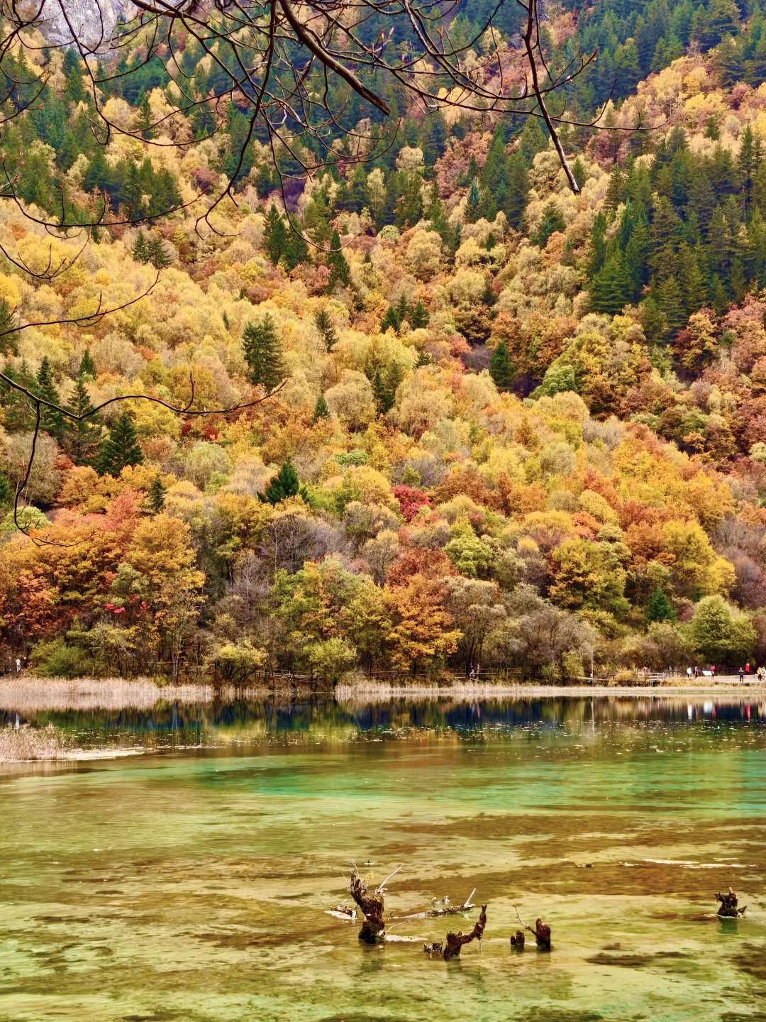 广州-九寨沟三天两夜攻略（一人勇闯版）