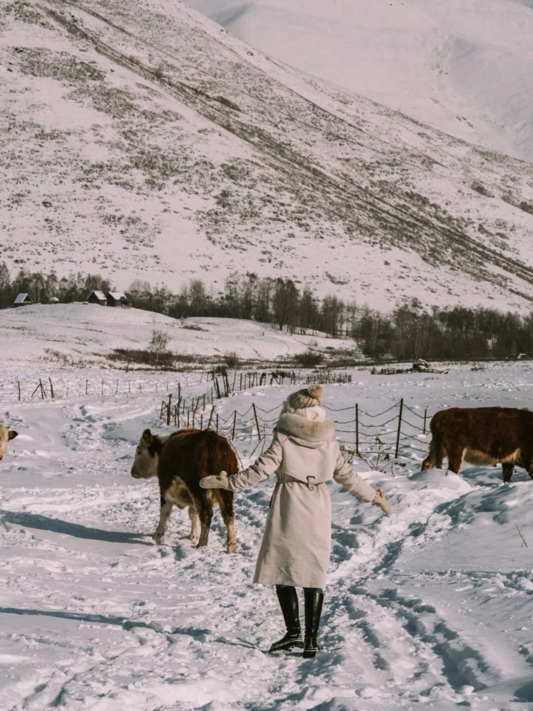 3K+玩出万元感！冬季阿勒泰捡漏攻略