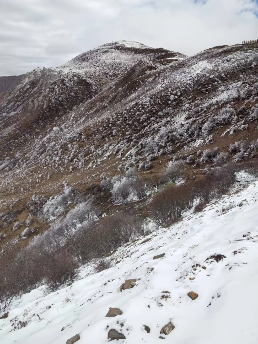 九寨沟县神仙池景区（一）