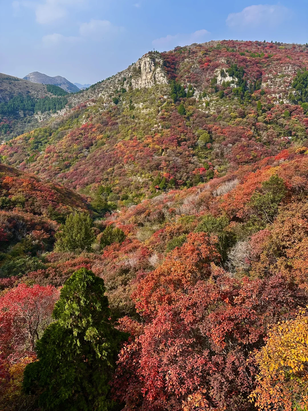 10.27实况！！石门坊红叶浓度已达99.999%