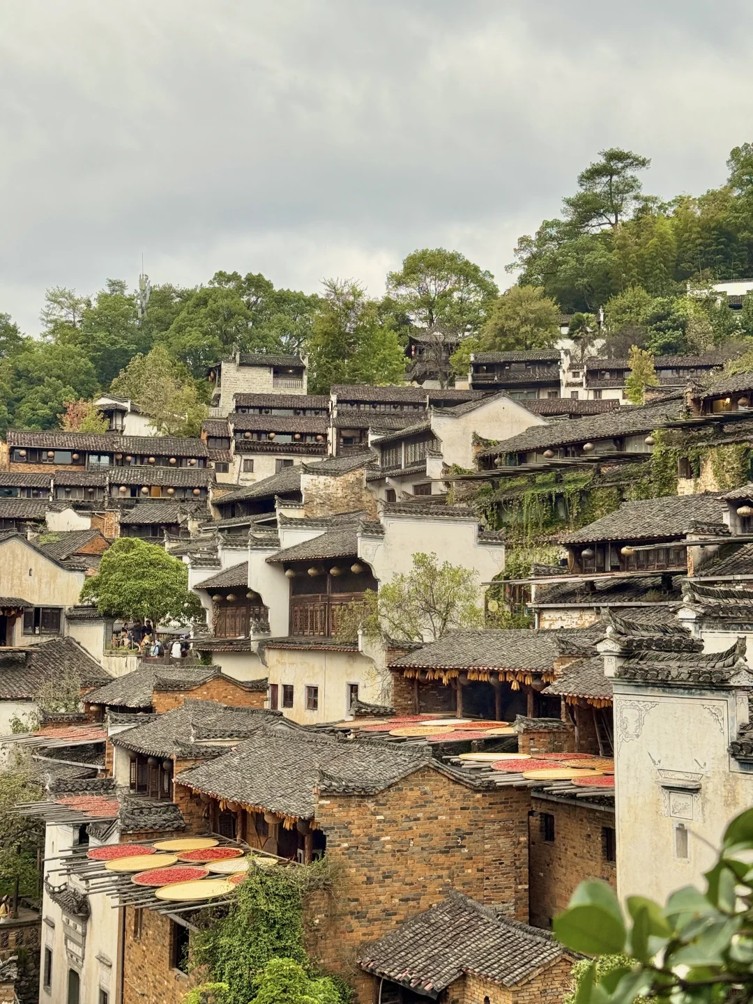 🍂篁岭秋天实况！18张图放不下太美了（附攻略