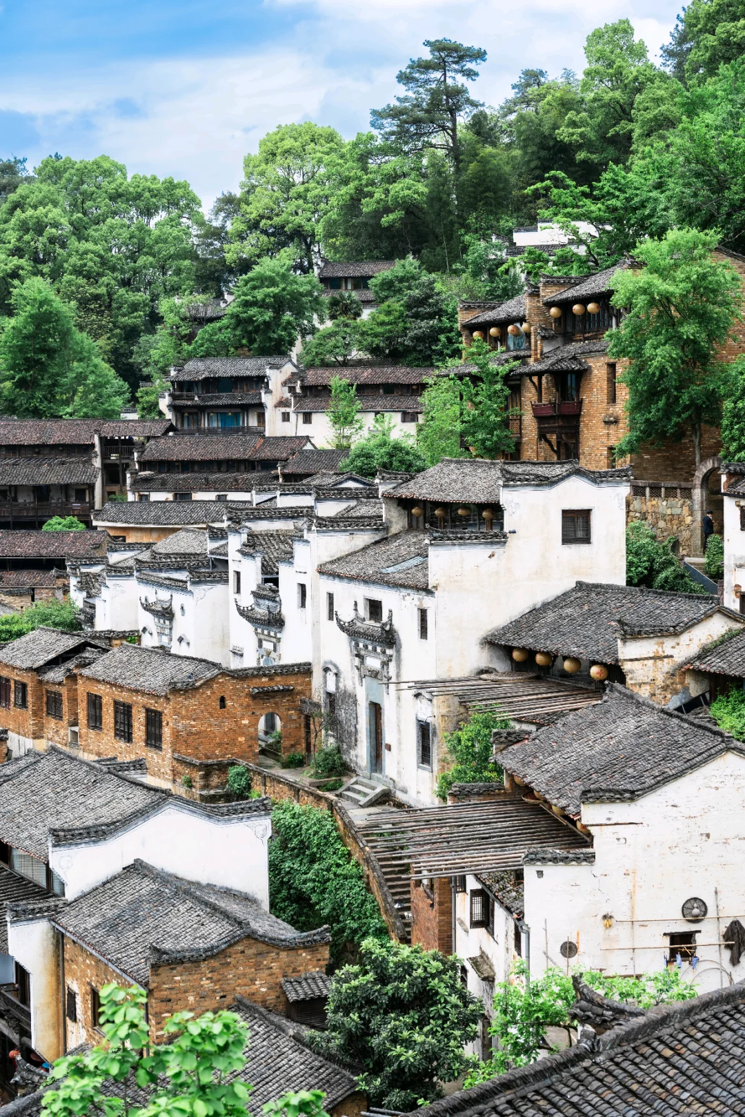 不卷晒秋了！4月的婺源 比想象更出片📸