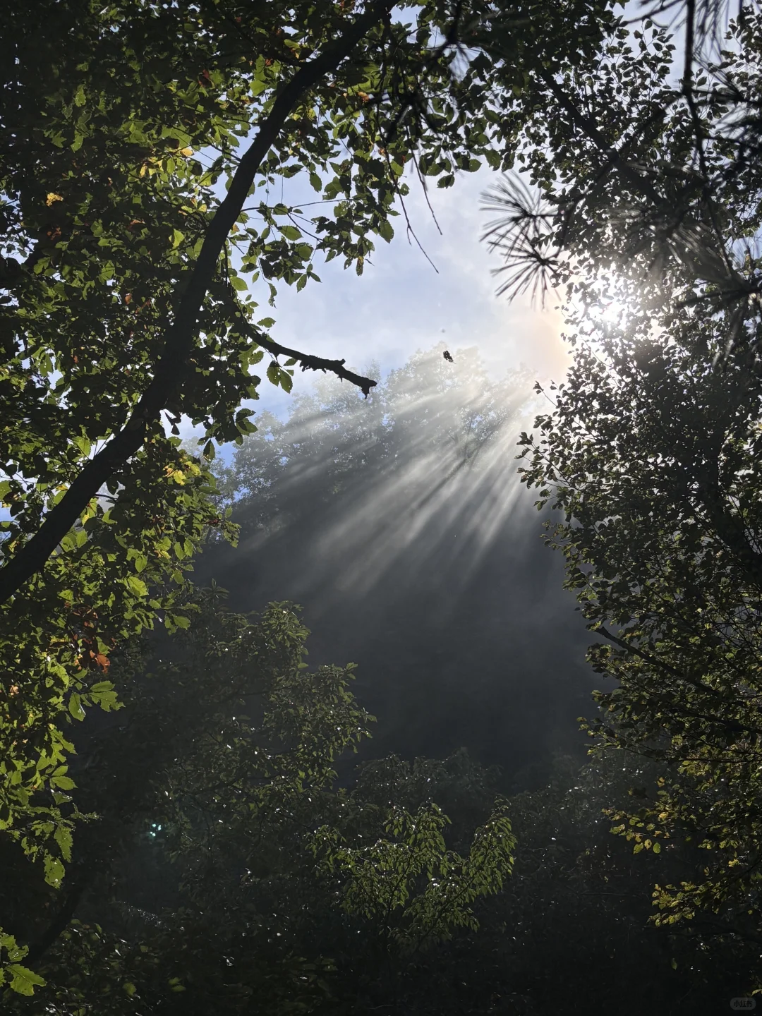 河南不宣传这个山真的糊涂！没有热度但绝美