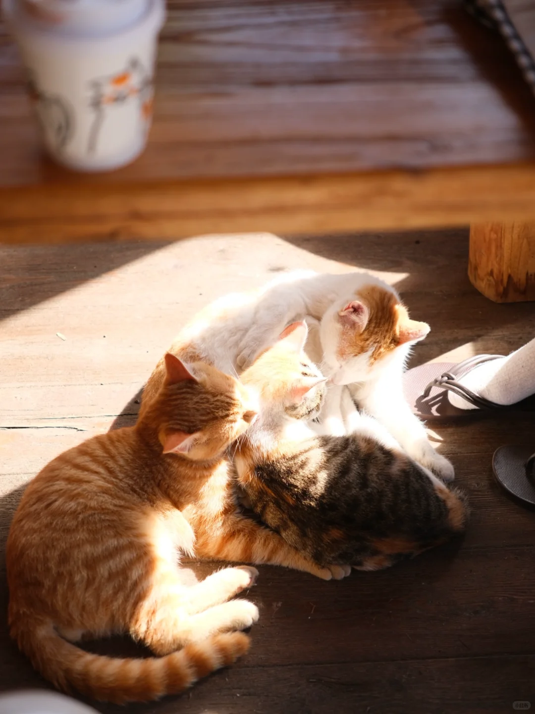 内蒙古Day3｜这个小镇让我觉得幸福感满溢