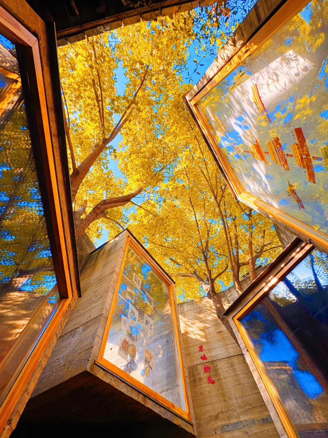 为了这18张图奔赴北平的秋天！📍附位置