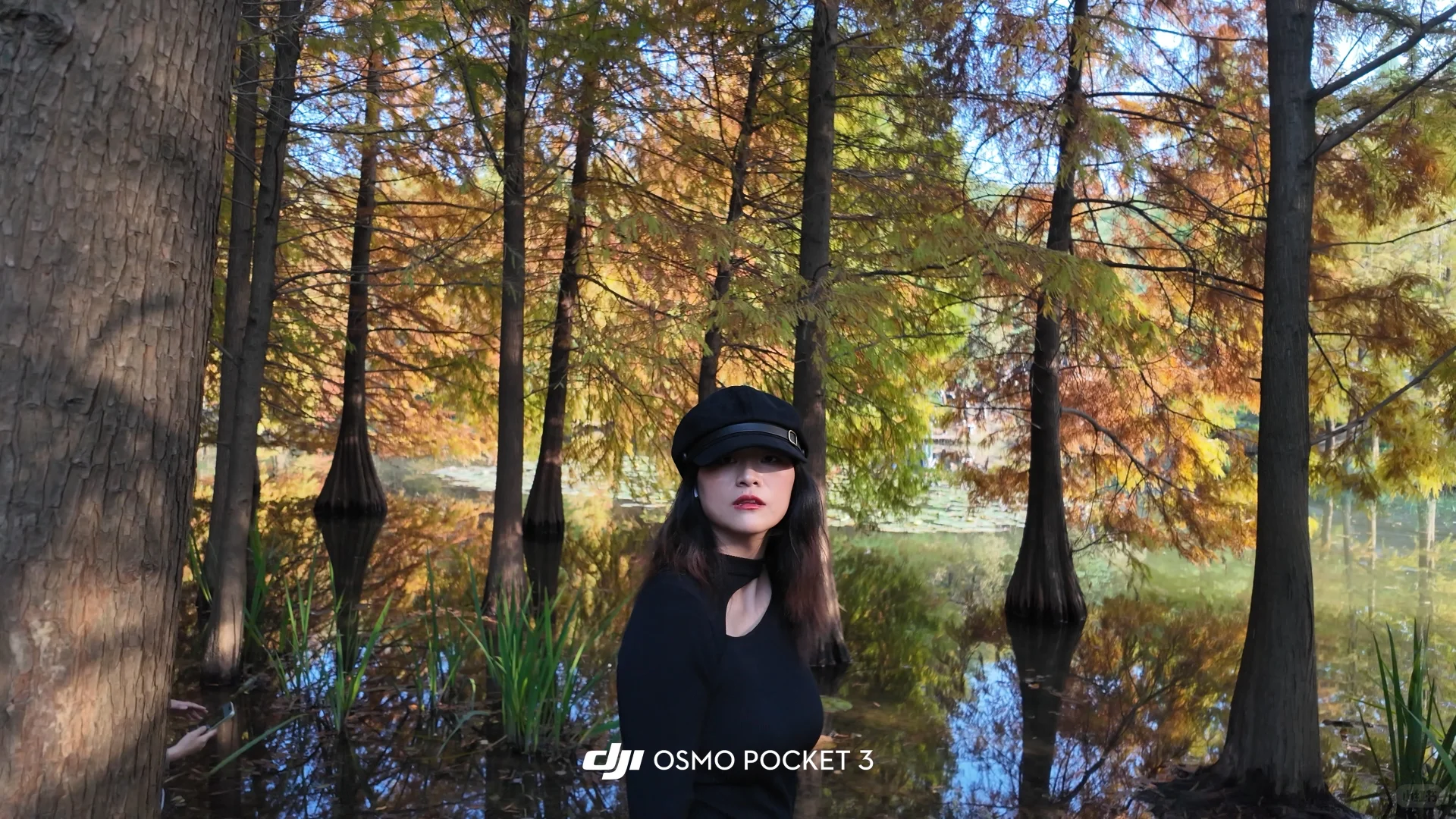 迷失在南京盛大的秋天里