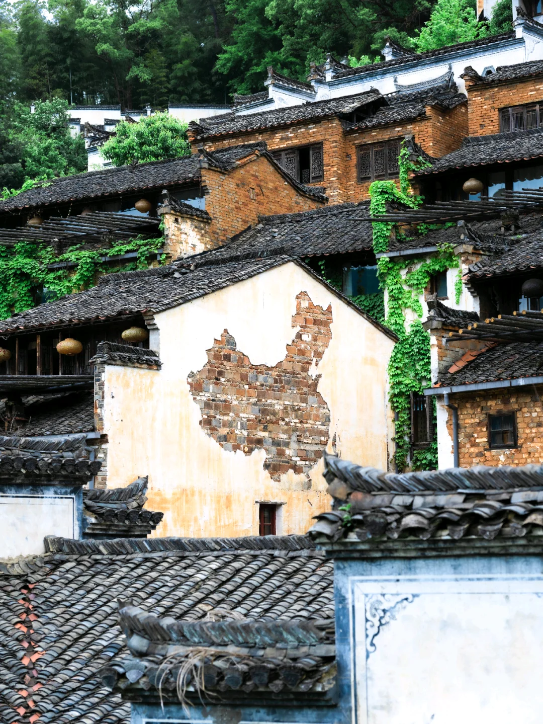 不卷晒秋了！4月的婺源 比想象更出片📸