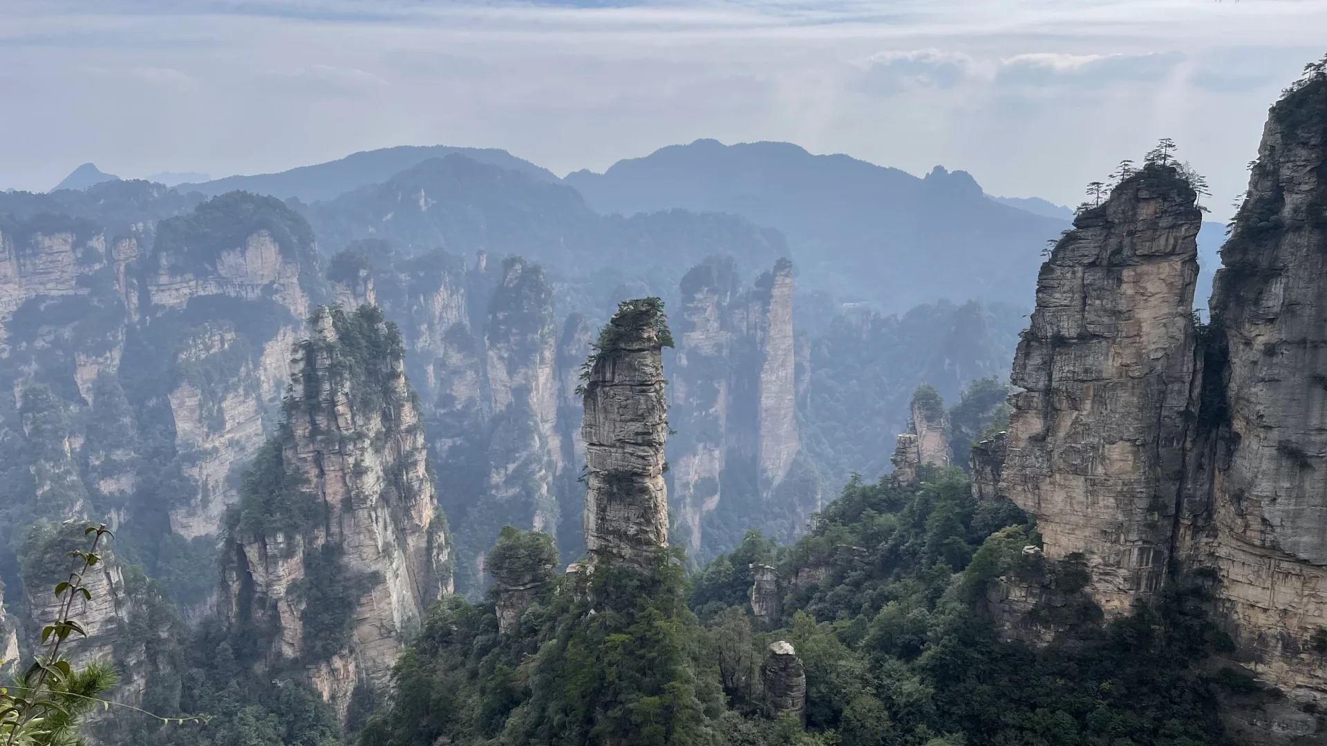 张家界国家森林公园的晴阴雨雾+攻略