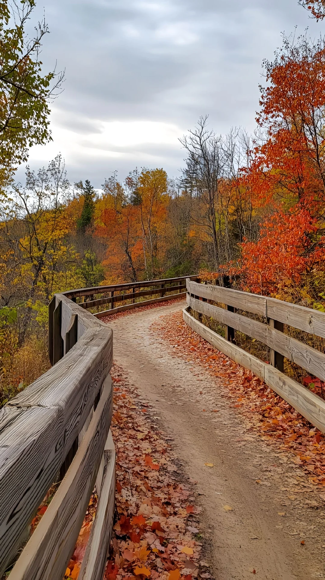 河南免费山顶小草原，不要门票！满山红叶