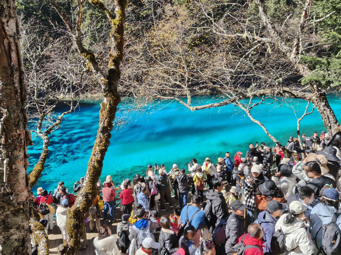 广州-九寨沟三天两夜攻略（一人勇闯版）