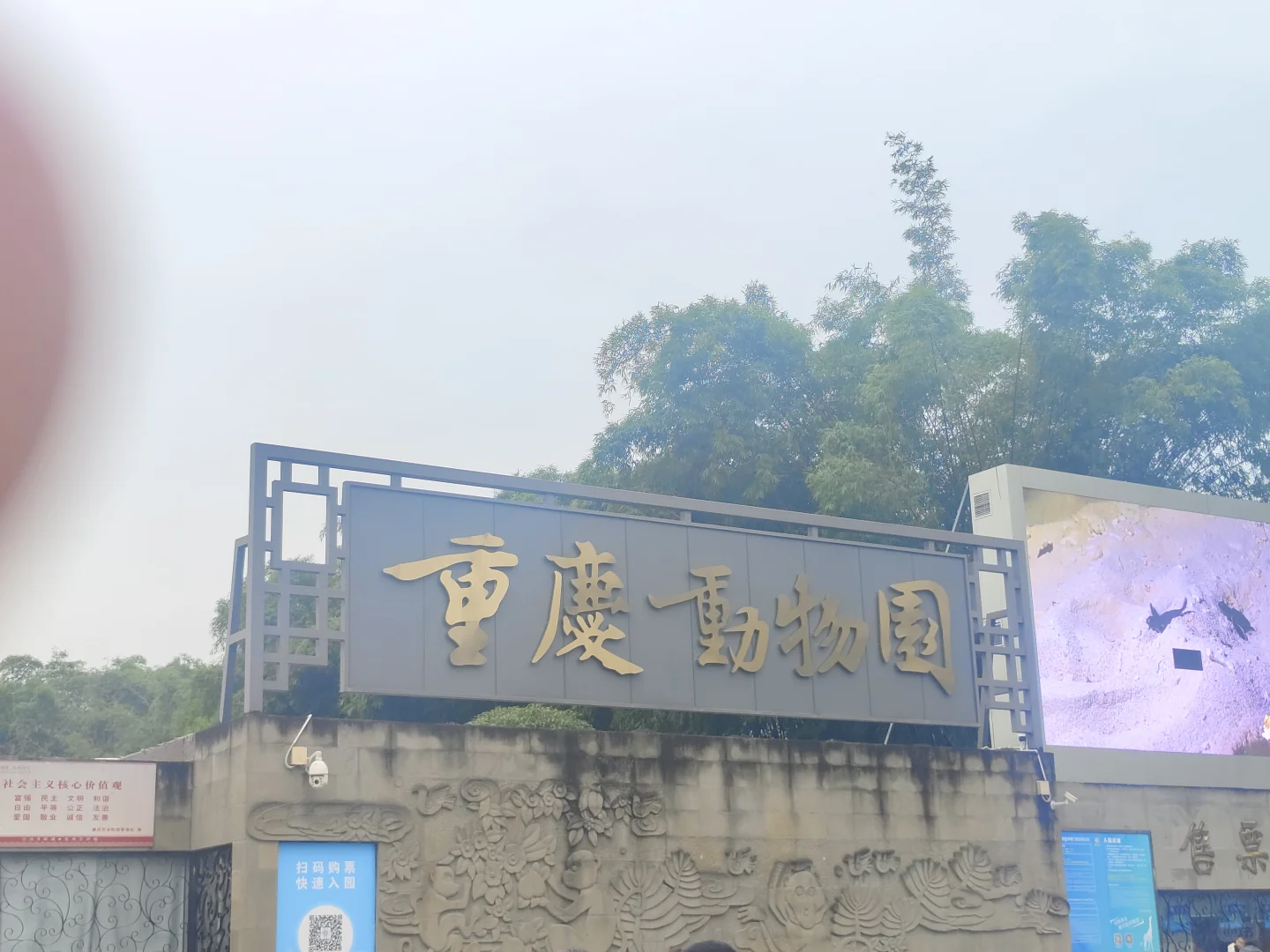 刚从重庆旅游回来，有问必答