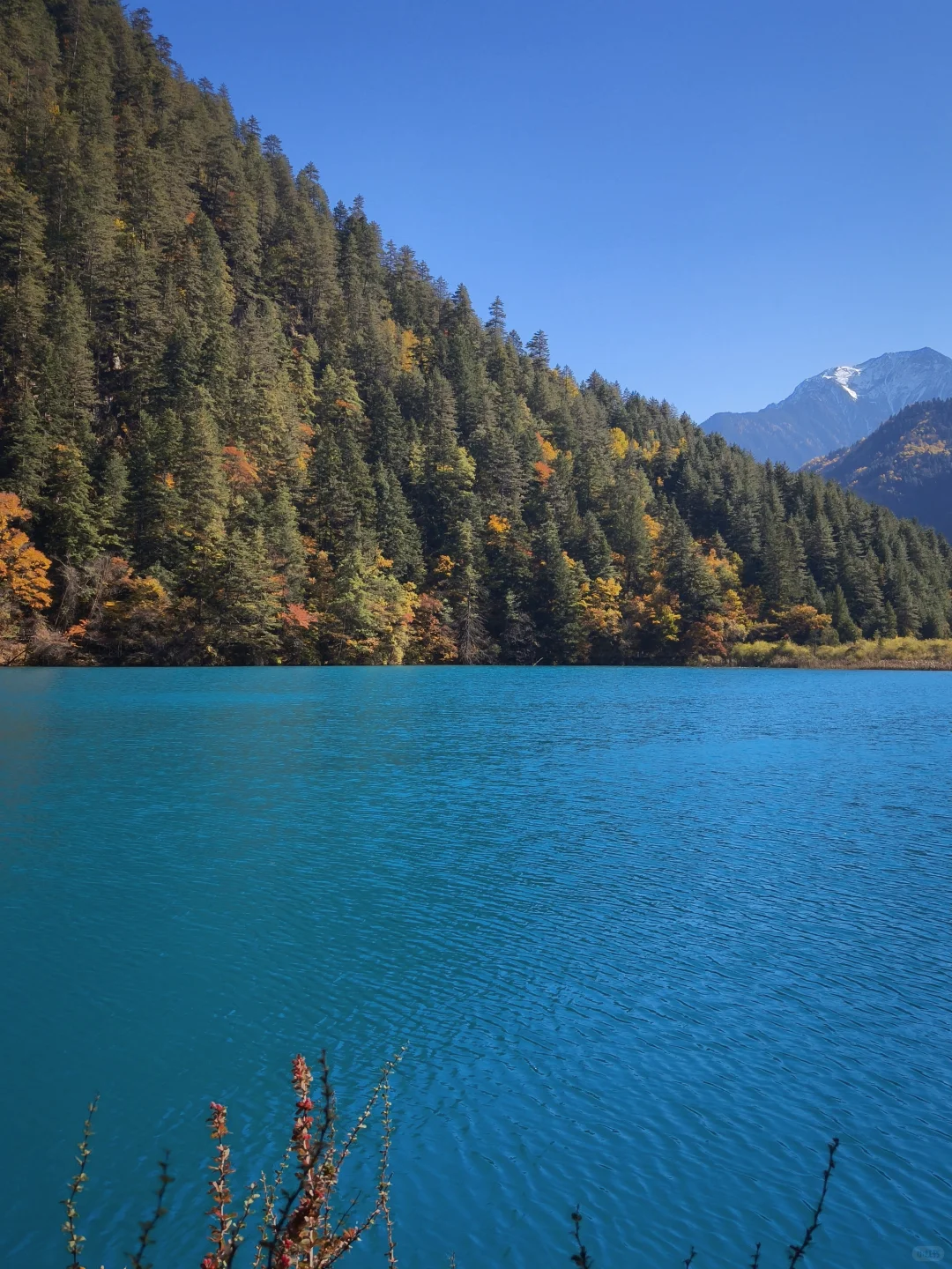 广州-九寨沟三天两夜攻略（一人勇闯版）