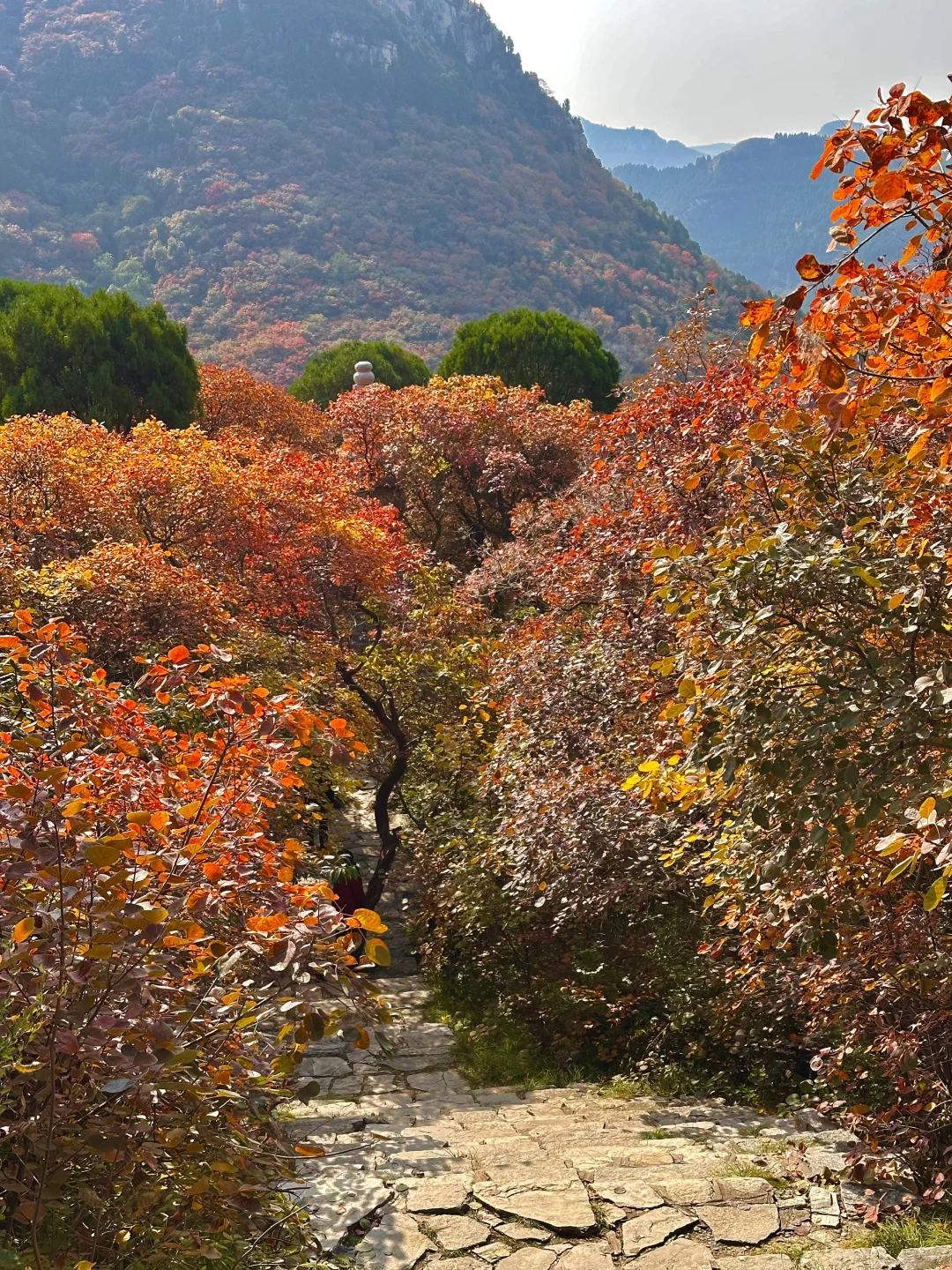 10.27实况！！石门坊红叶浓度已达99.999%