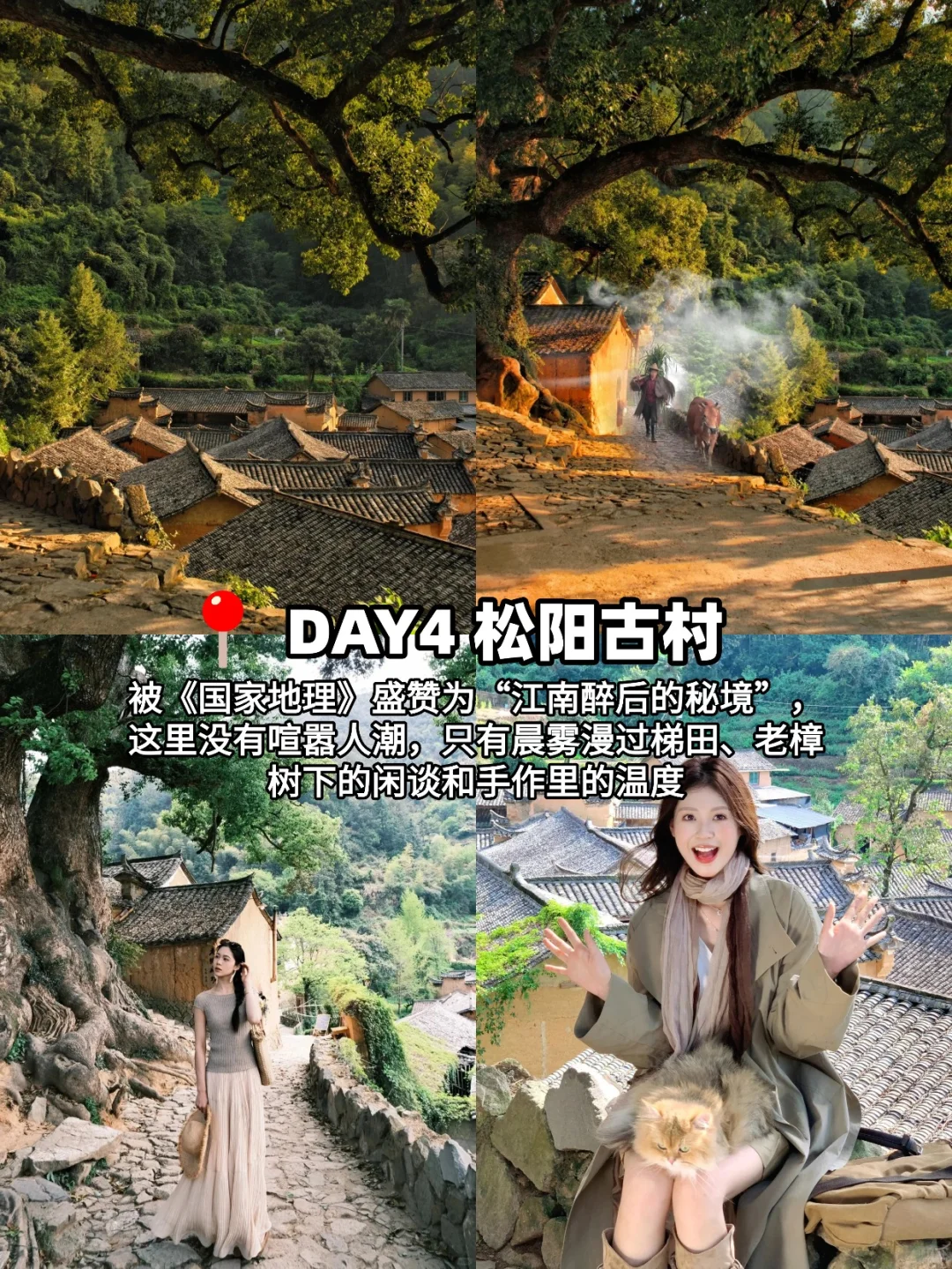 今年带娃包车畅玩的宝藏丽水❗好怕他火🔥