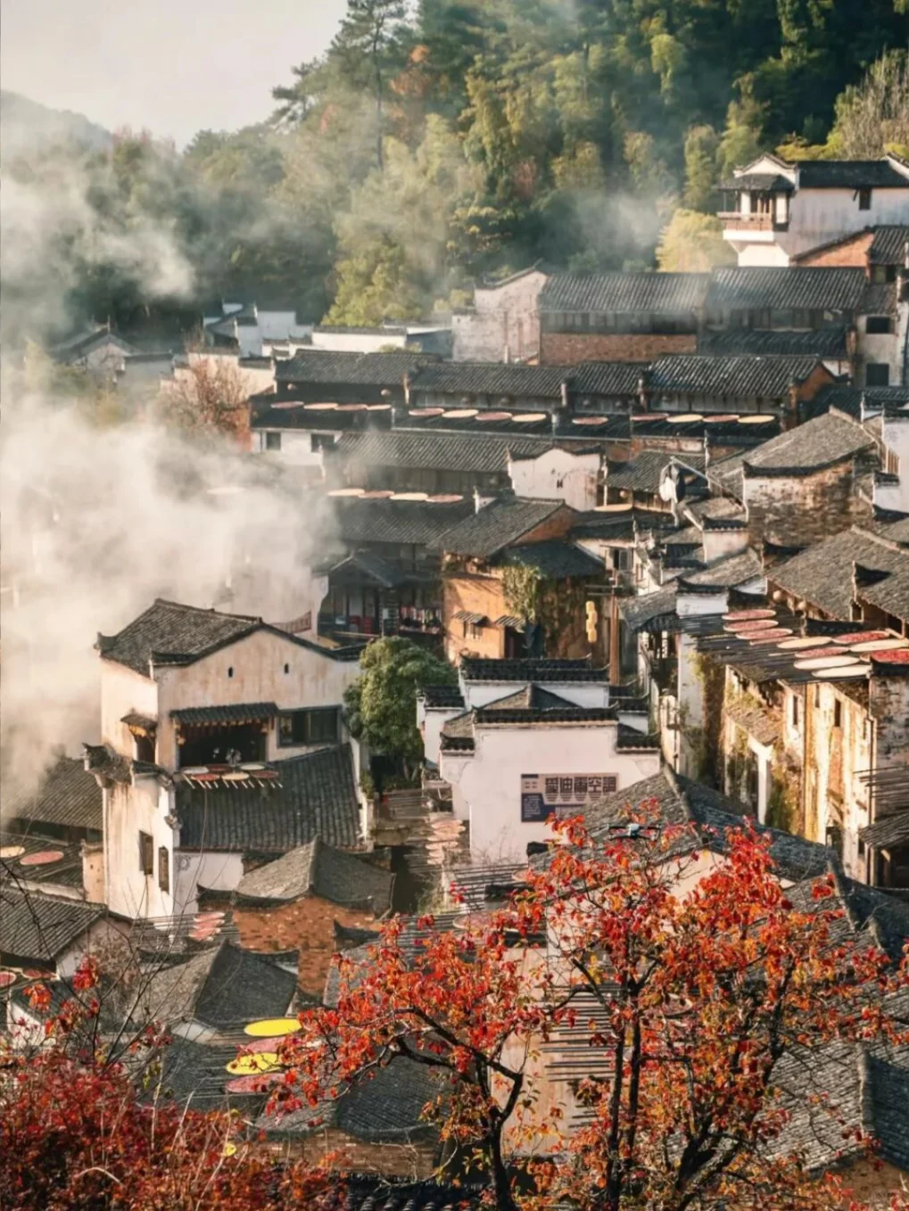 原地封神！婺源秋日双绝，晒秋叠红叶美到词穷