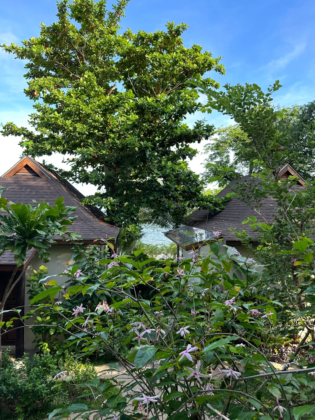 用我的双脚丈量世界之泰国曼谷