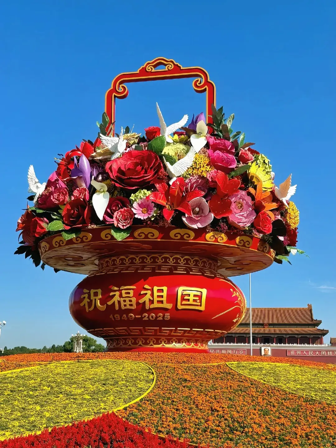 2025.11.11北京受冻已回,我的避雷建议是