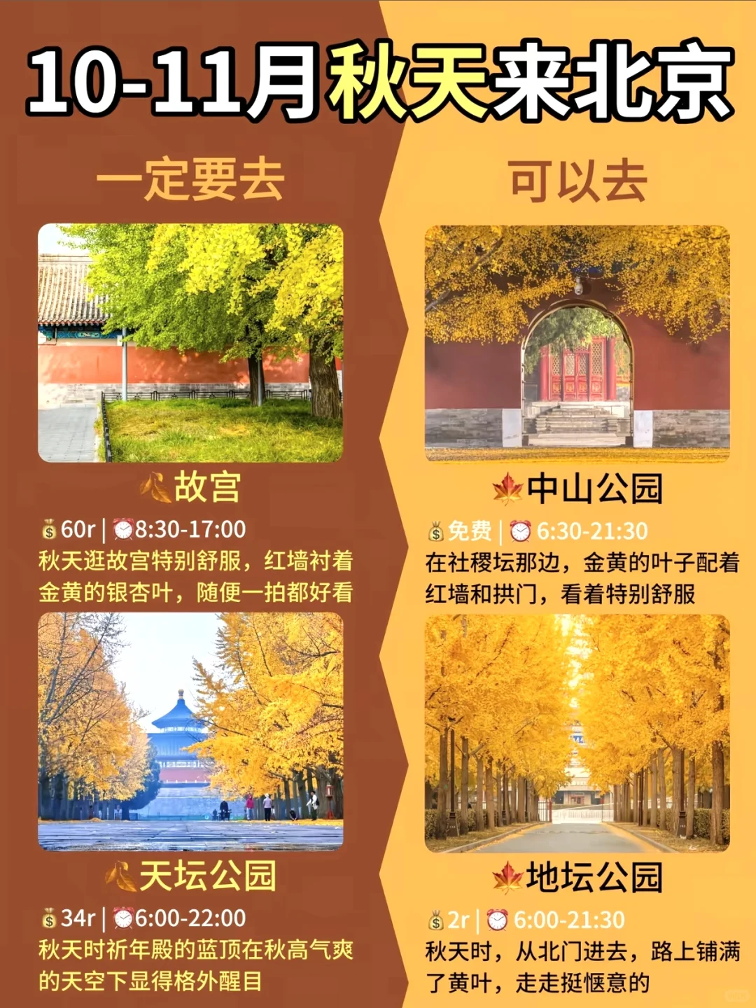 北京进入秋日油画模式