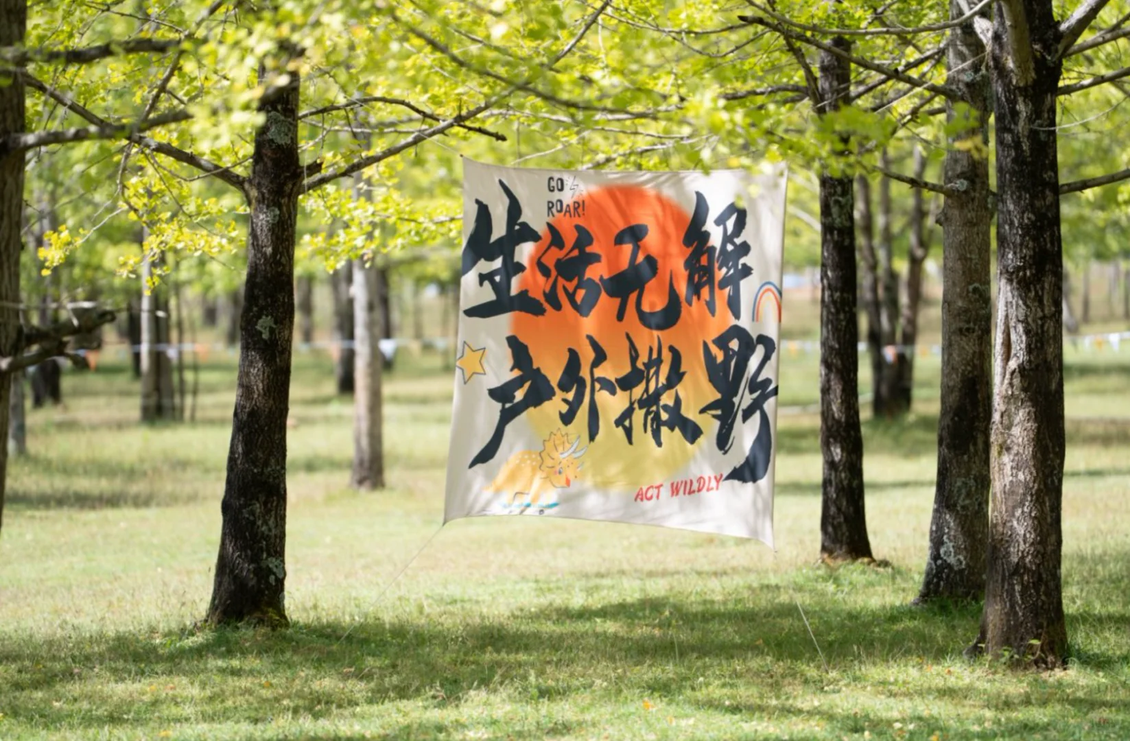 腾冲银杏季封神｜三善带你躺玩金秋童话镇✨