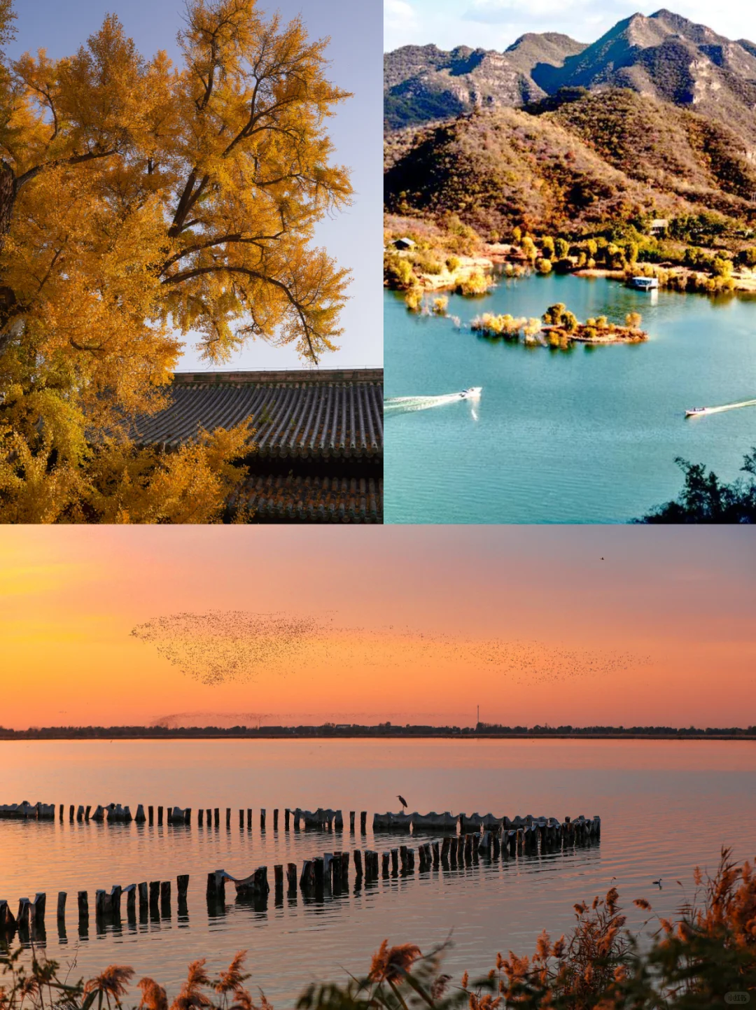 🍂河北11月才是真天花板！｜小众玩法揭秘