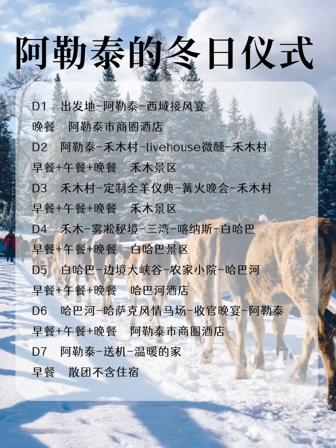 轻奢玩雪❄️ 阿勒泰7日品质小团5k+拿下