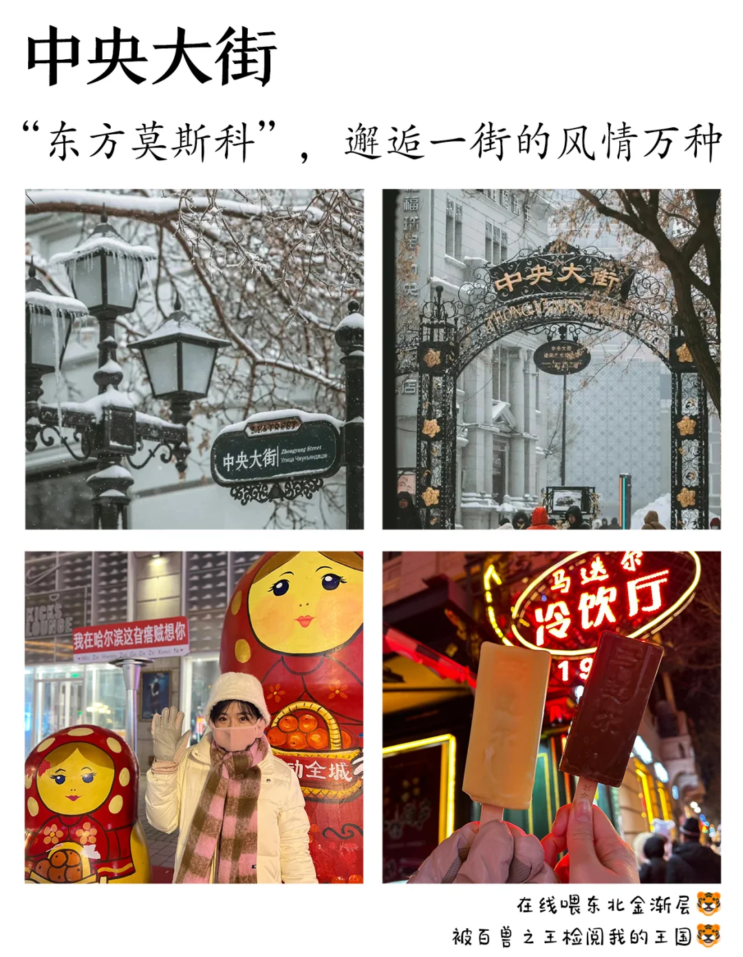 东北旅游|6天5晚❄️2～8人纯玩💰人均2K