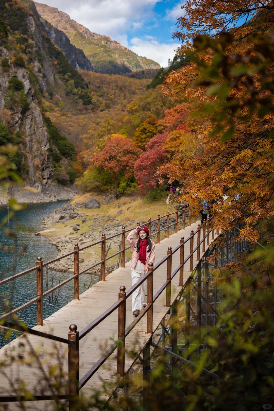 11月必冲❗️松坪沟彩林杀疯了🍂错过等一年