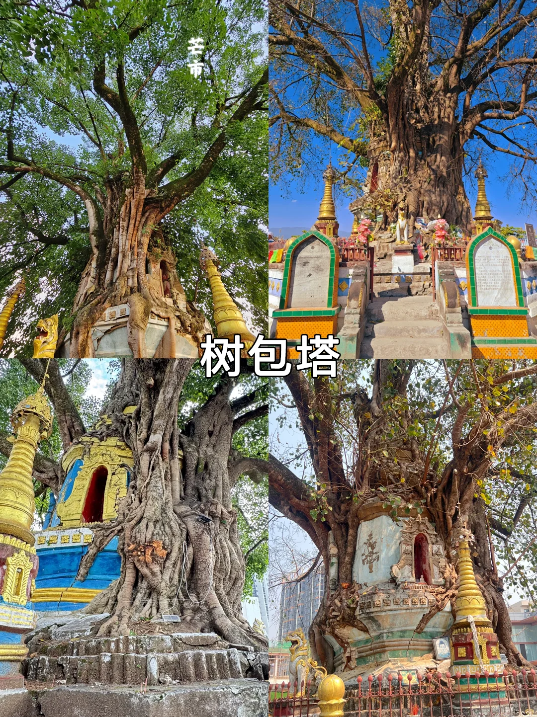 ⭐️芒市必游9大景点! 攻略看这篇就对了