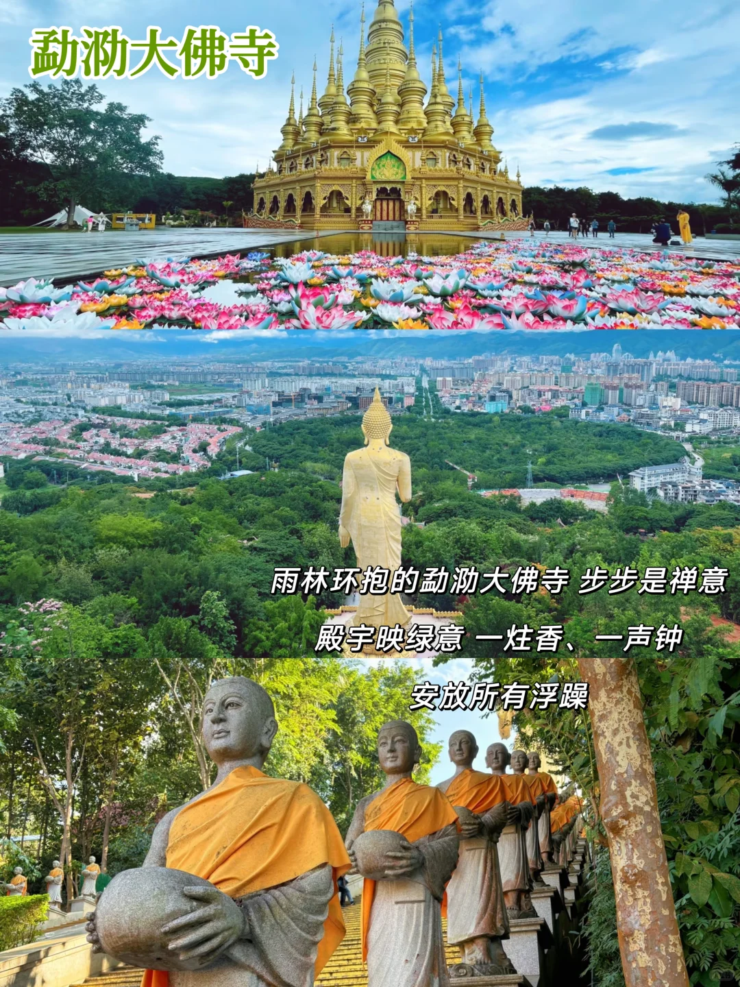 西双版纳景点!纯玩小团人均900+嗨玩5天✨