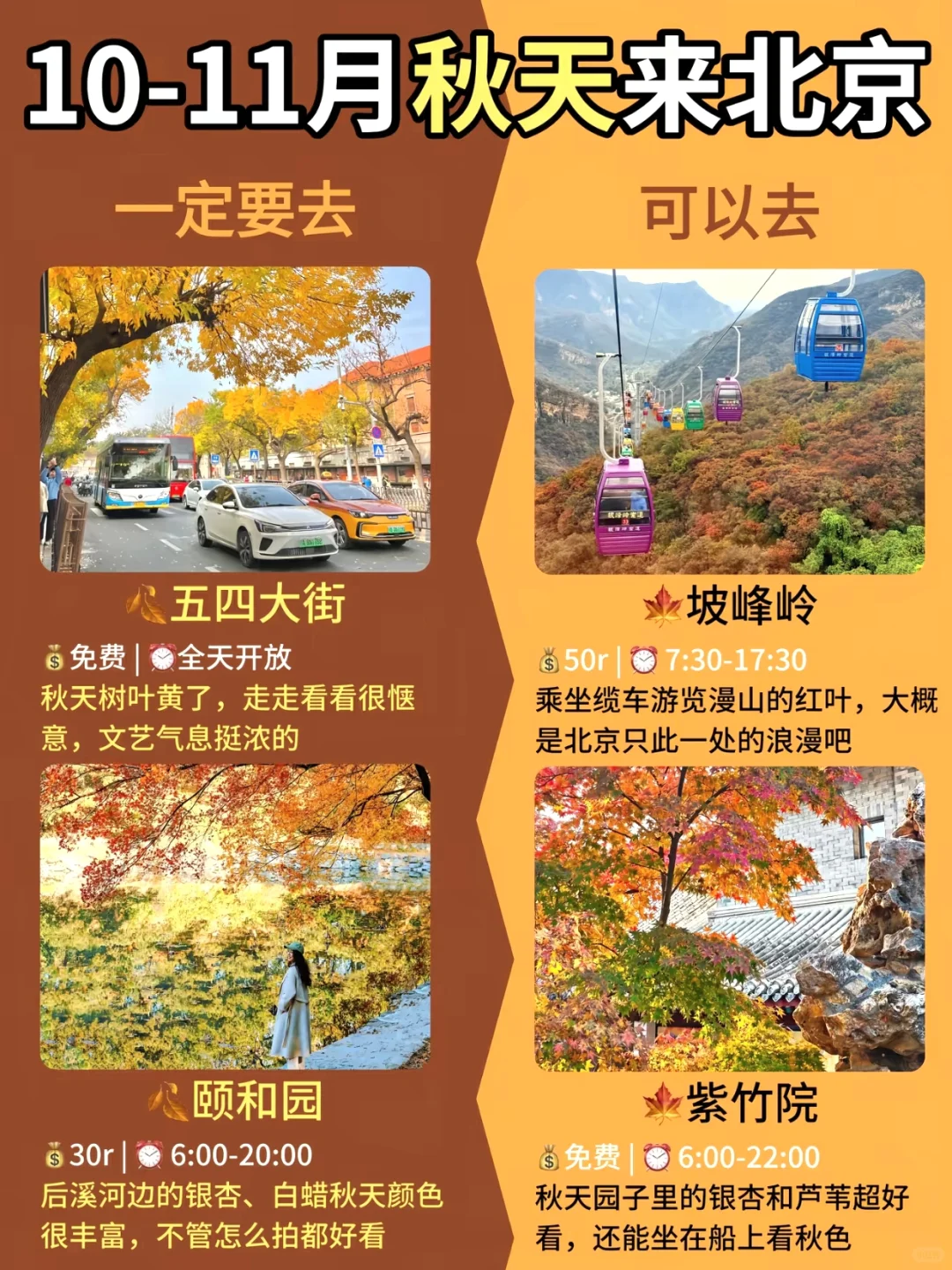 北京进入秋日油画模式