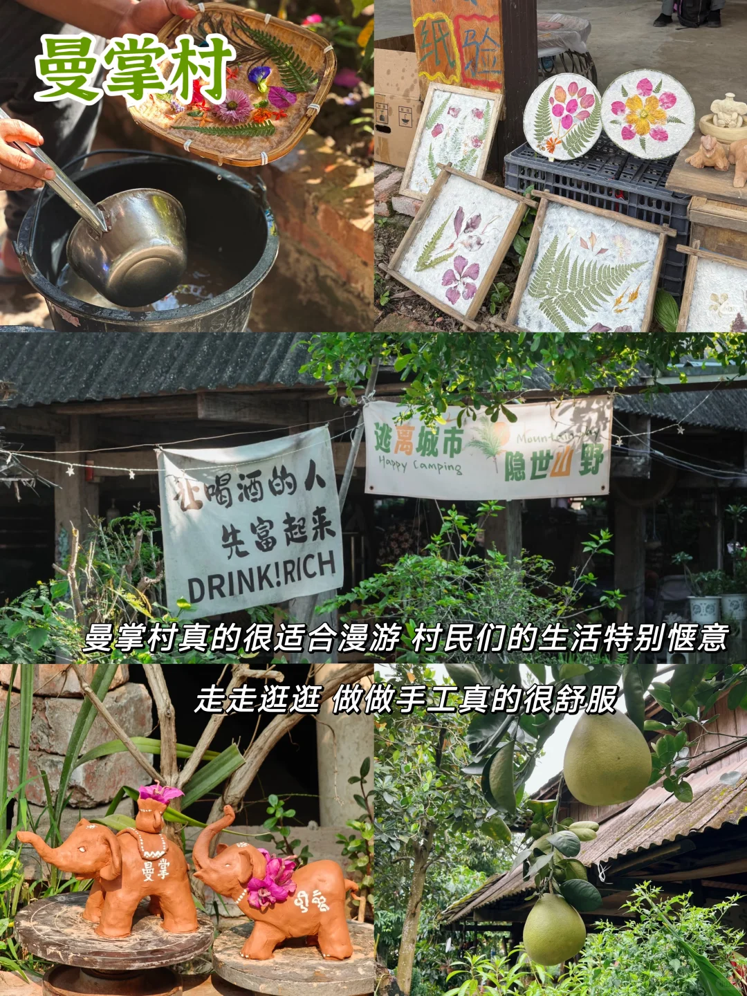 西双版纳景点！纯玩小团人均900+嗨玩5天✨