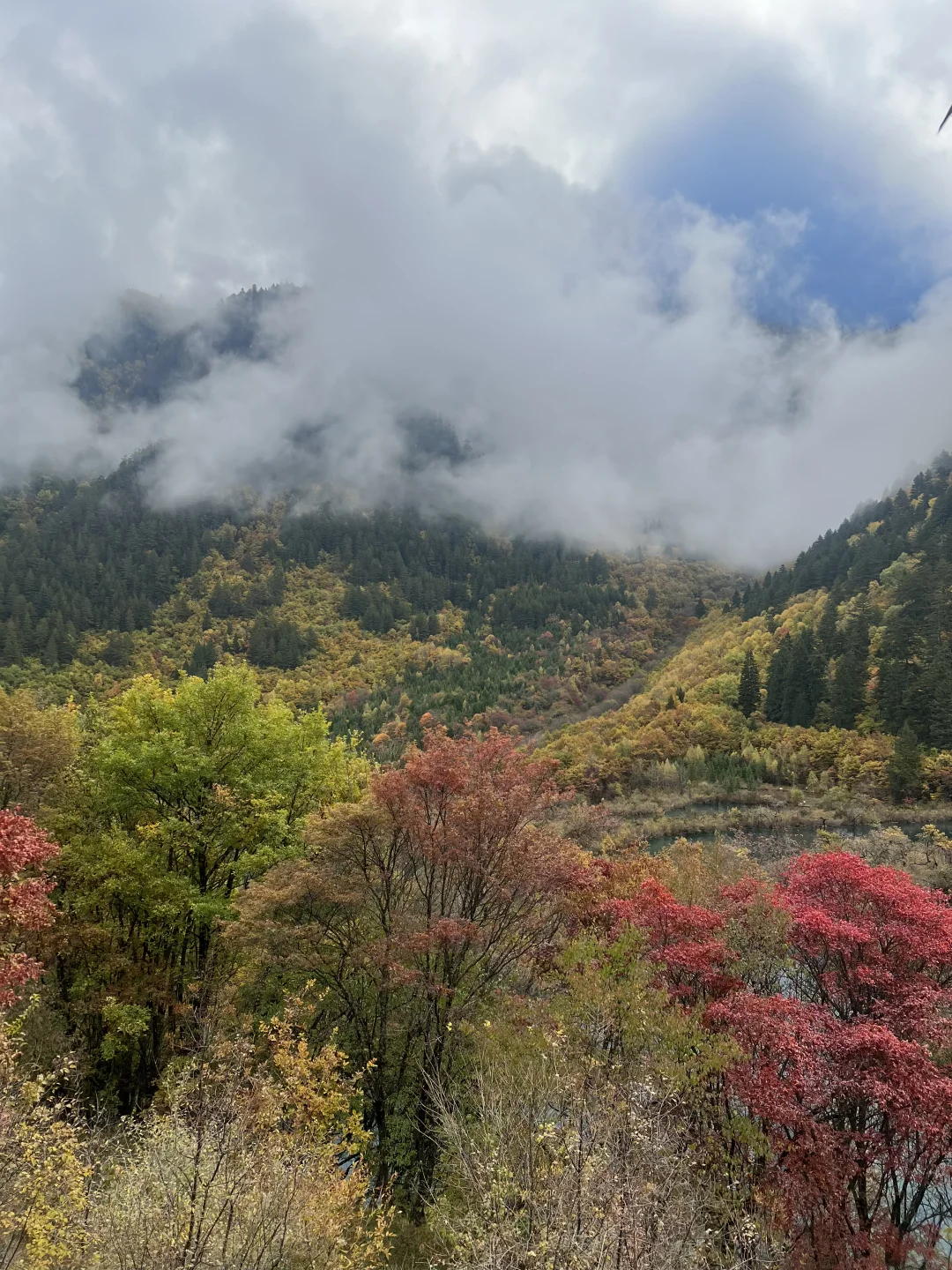 11.4九寨沟很美 但此生不会再去第二次🍂