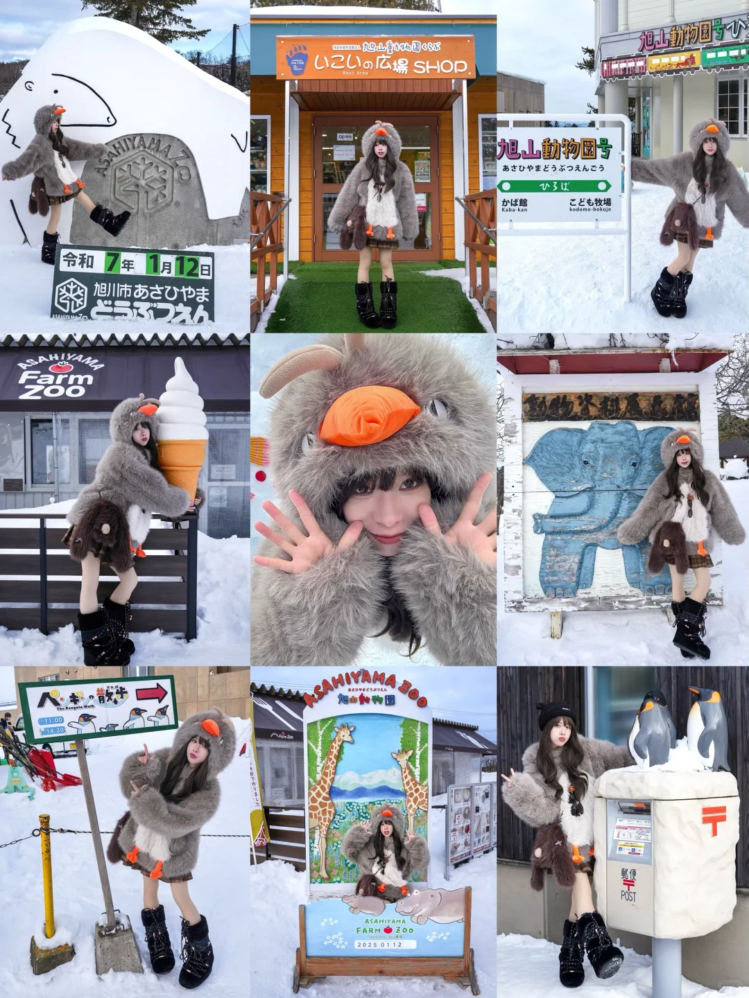 谁懂！！对自己的北海道攻略满意到睡不着！