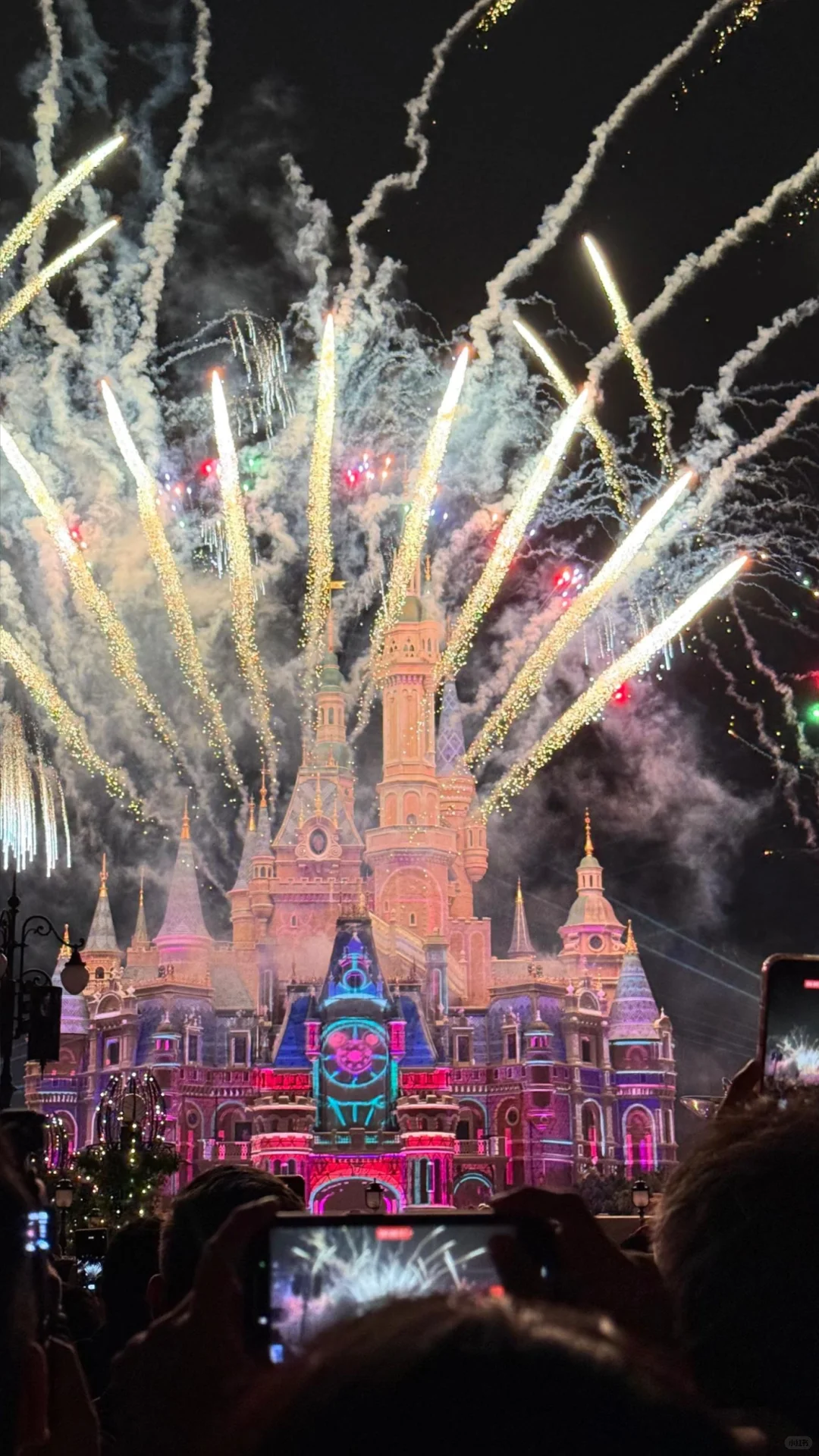 🇨🇳上海迪斯尼必玩5点