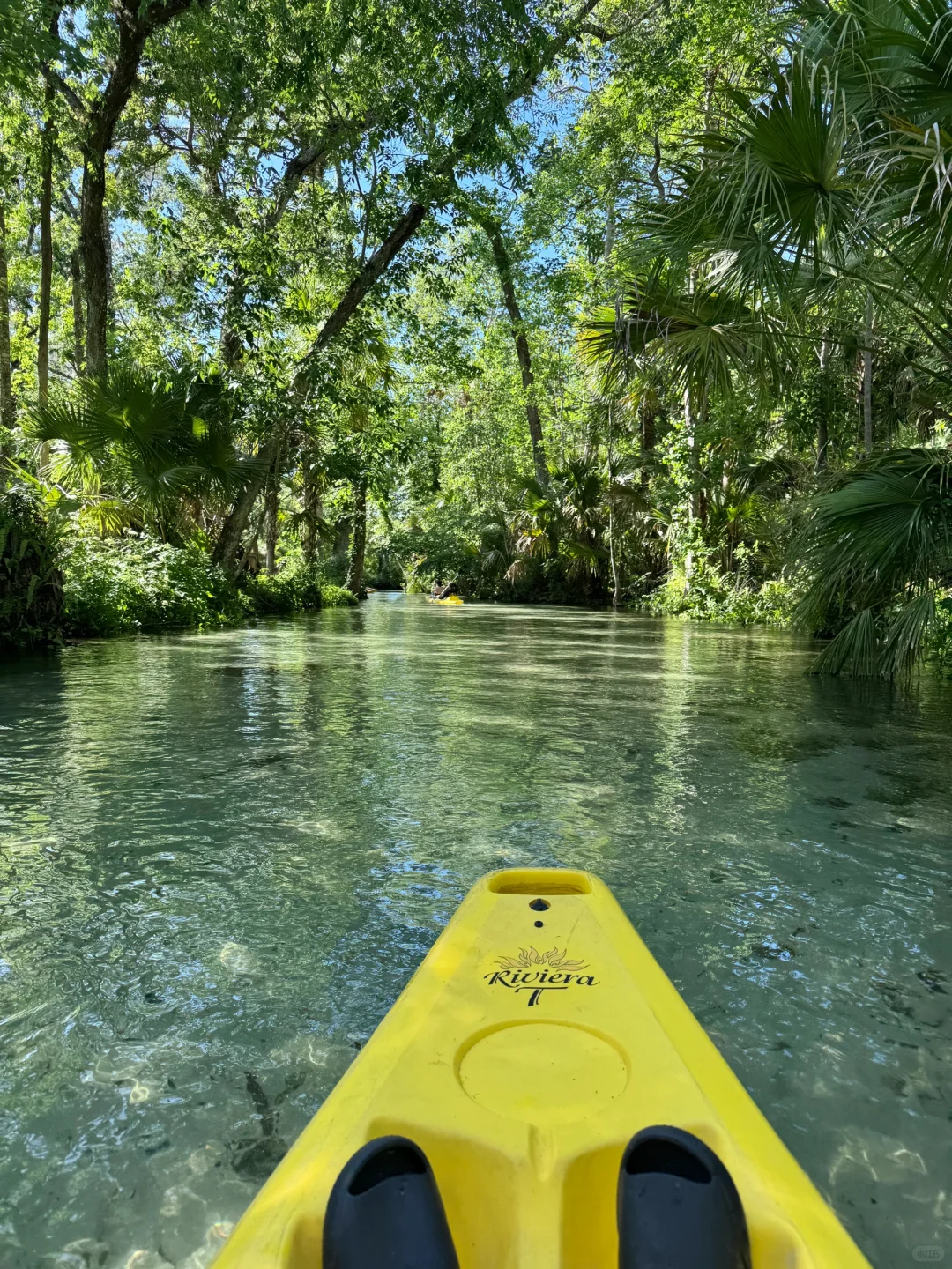 奥兰多千万别只去迪士尼环球！一定留时间给