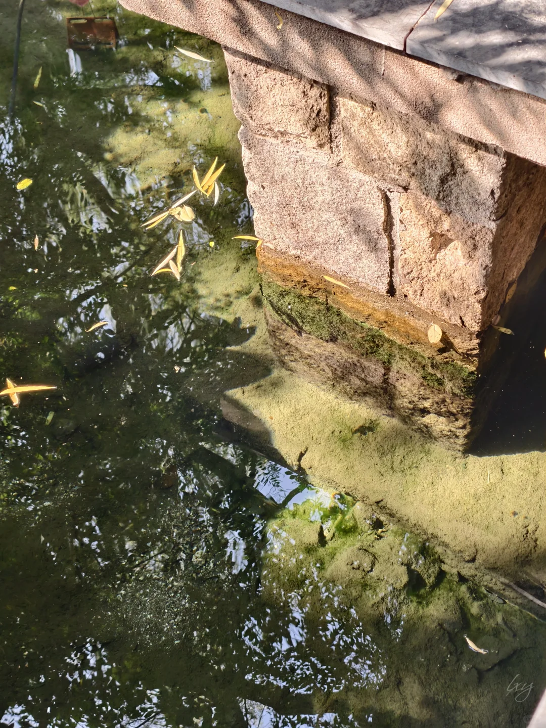 没课的周五就这样出来玩儿