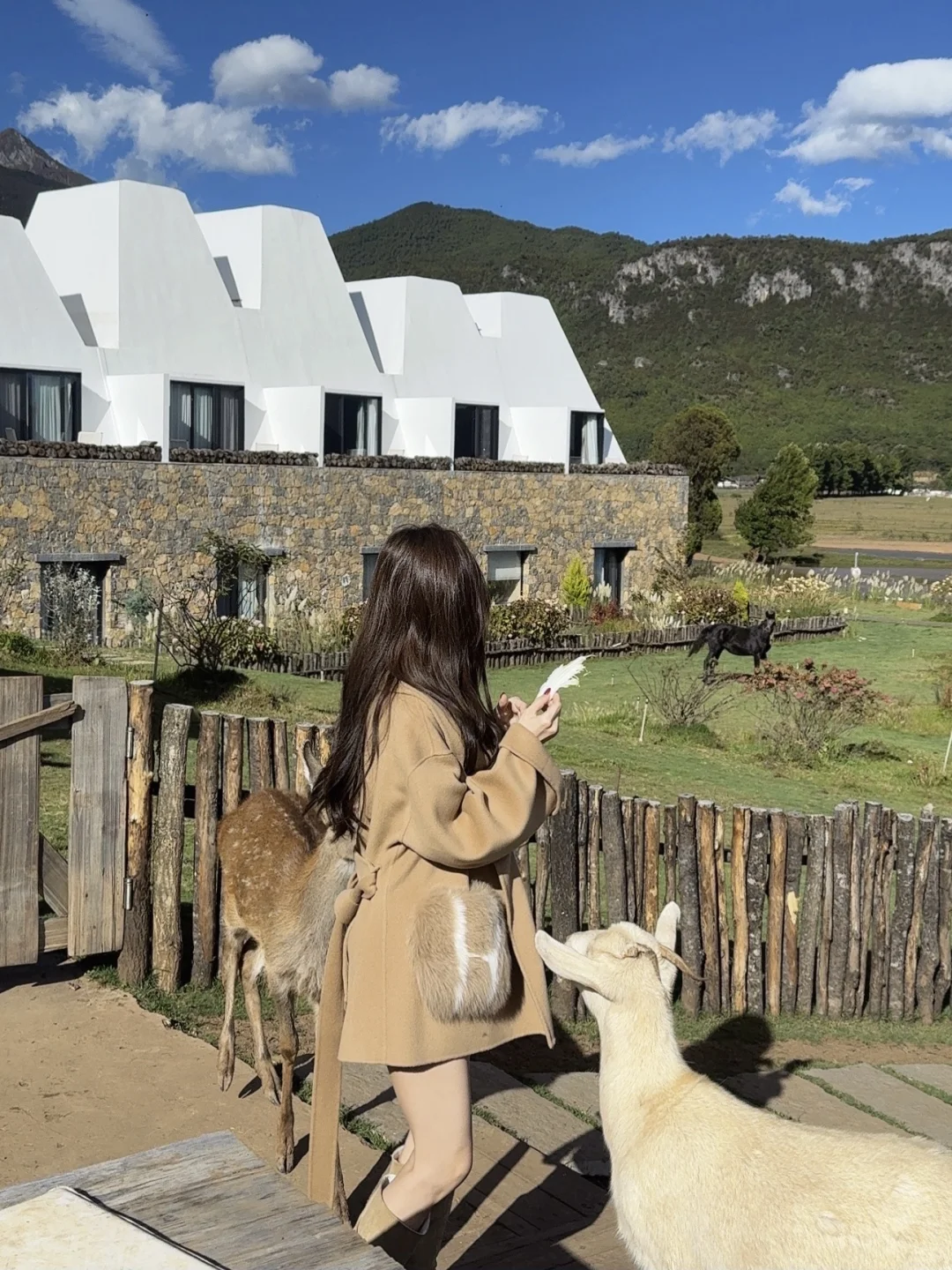 那里的冬天美得不像话🍂