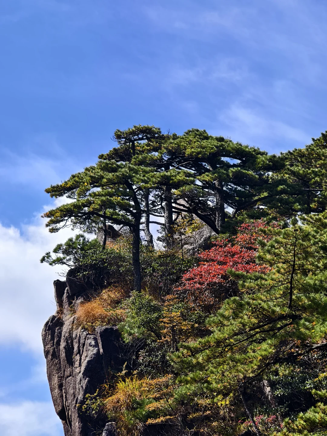 11.2的黄山可太美了